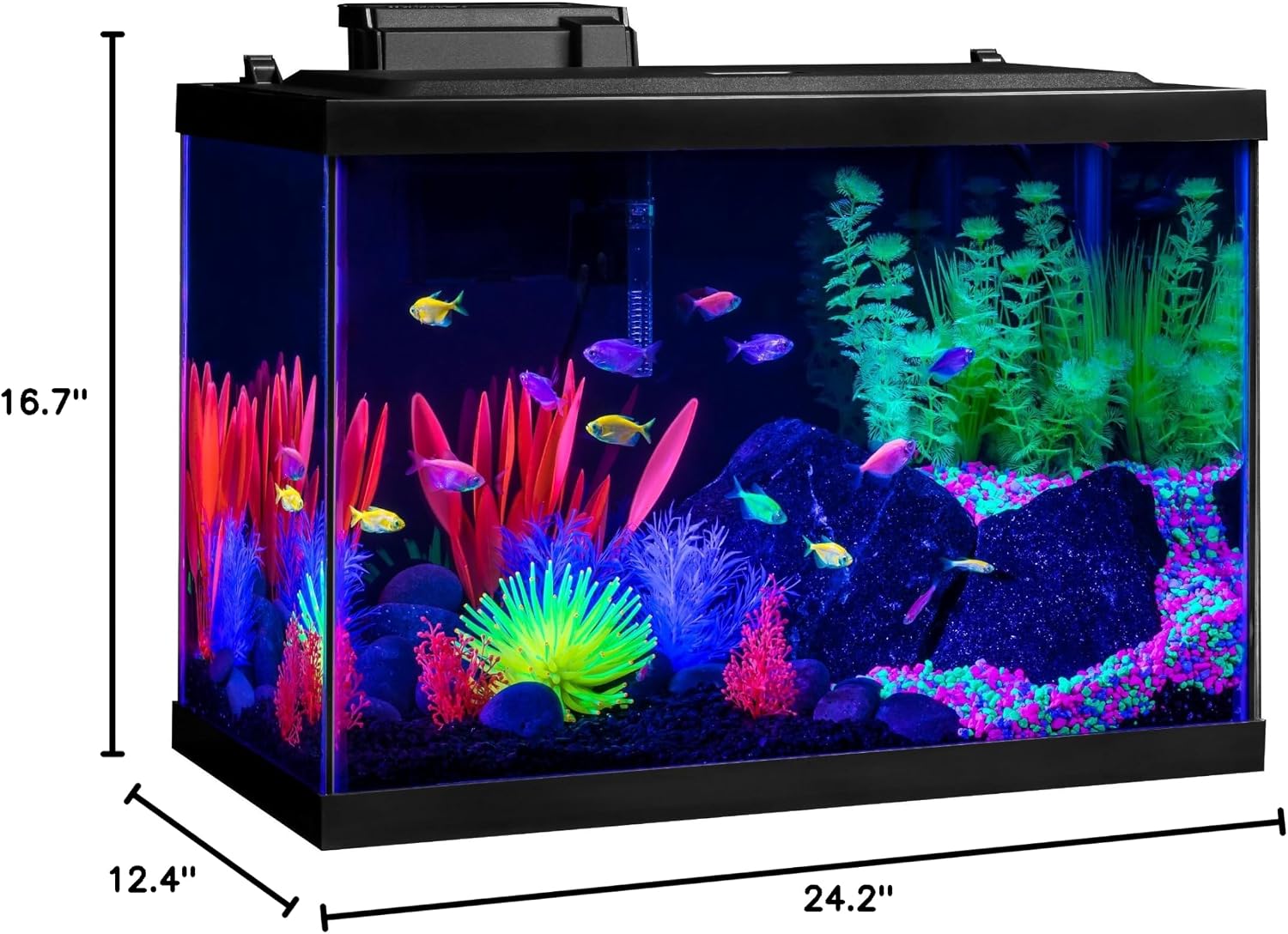 GloFish Crescent aquarium Kit 3 Gallons, Includes Hidden Blue LED Light And Internal Filter