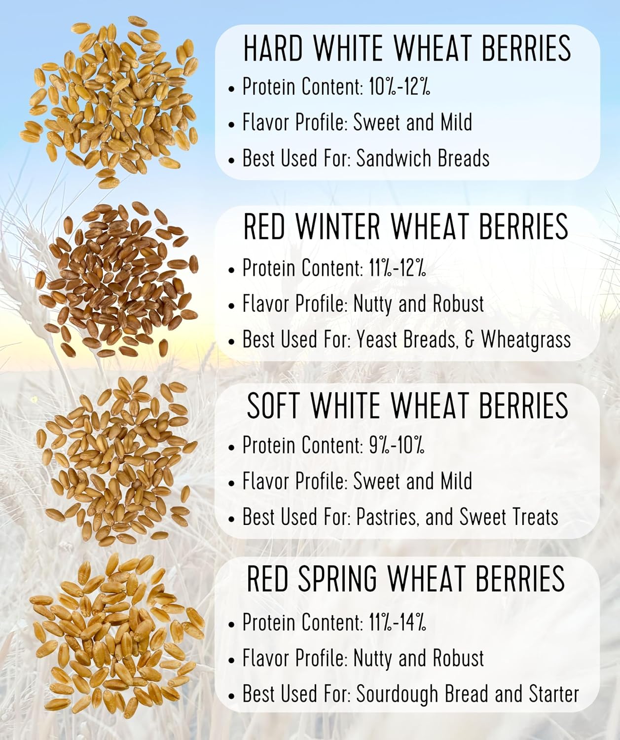Palouse Brand Certified Glyphosate Residue Free Hard White Wheat Berries | 5 LBS | Non-GMO Project Verified | Kosher