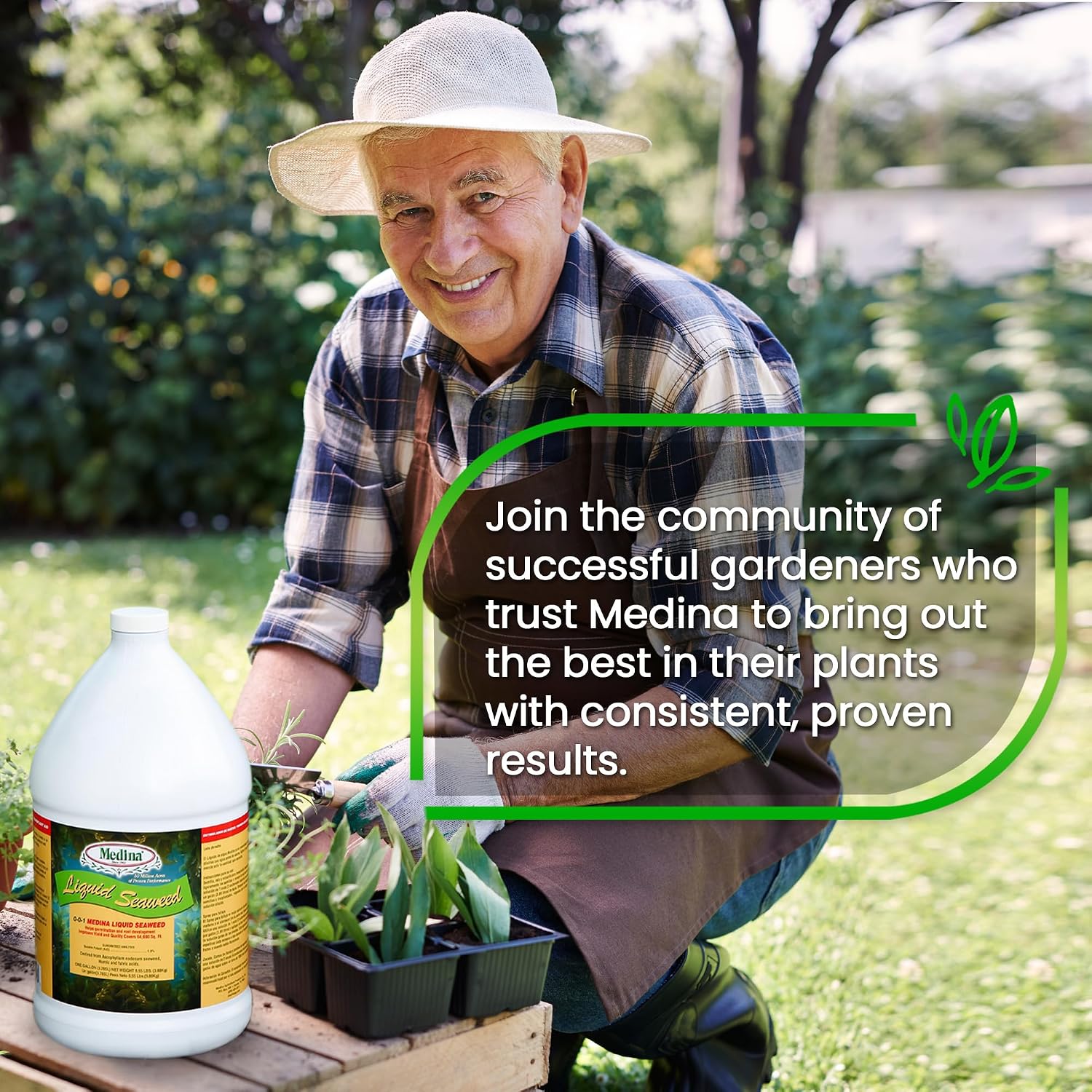 Medina Liquid Seaweed Fertilizer, 1 Gallon | For Plants, Concentrated, Lawn and Garden, Enhances Plant Growth and Soil Health, Ready to Spray, Covers 64000 Sq. Ft.