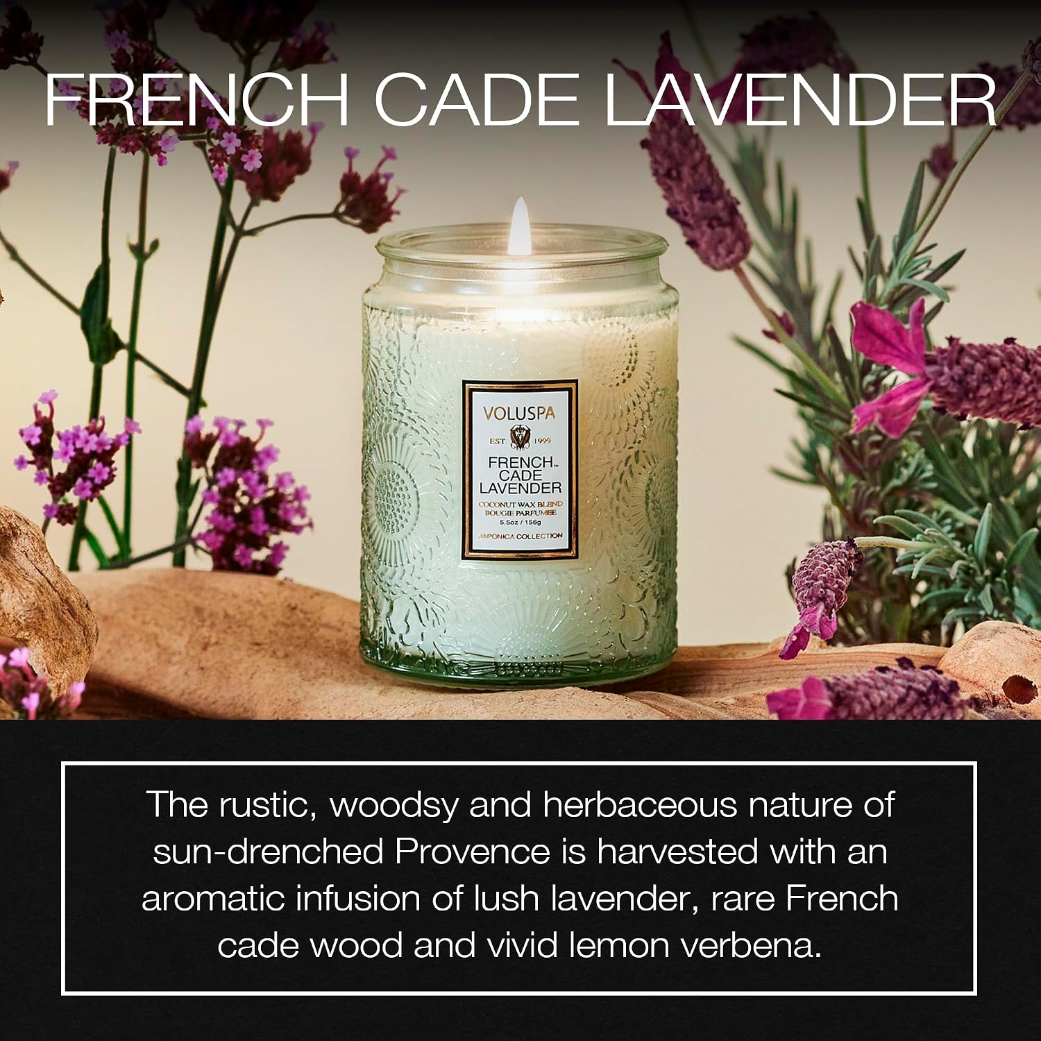 Voluspa Baltic Amber, Small Candle Jar, 5.5 oz, 50 Hour Burn Time, Coconut Wax for Clean Burning, Handcrafted in the USA