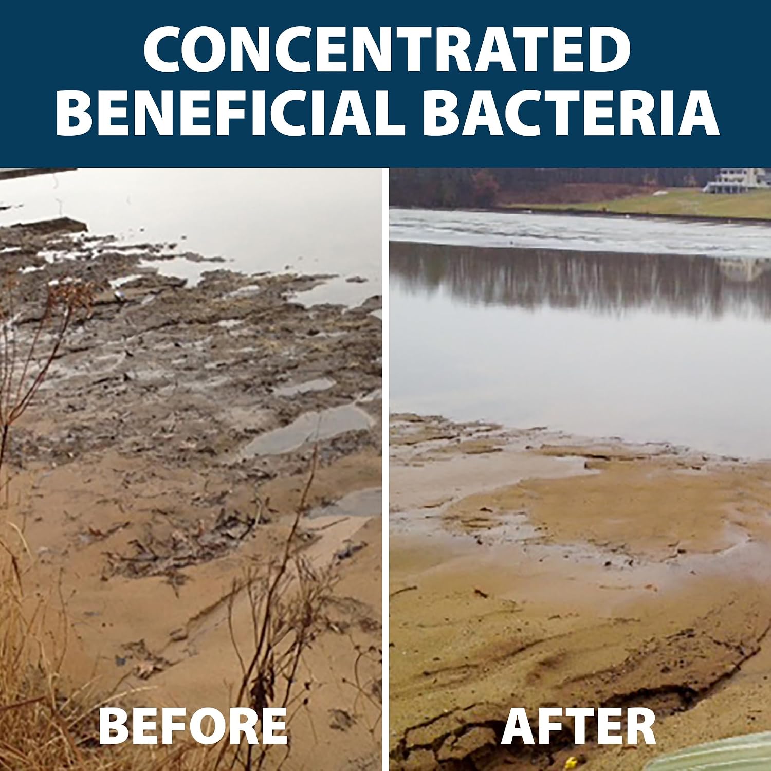 Airmax MuckAway Bacteria Enzyme Tablets for Ponds & Lakes, 16 Scoops | Natural beneficial bacteria muck, sludge & noxious odor solution for cleaner beaches & shorelines; fish, pet & wildlife safe