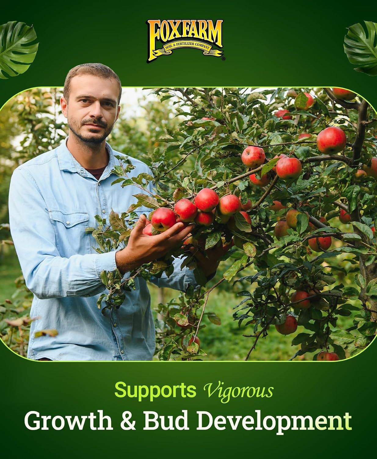 FoxFarm Marine Cuisine All Purpose Fertilizer - 10-7-7 Ocean-Based Plant Food with Crab Meal, Seabird Guano - Slow Release Fertilizer for Vegetables