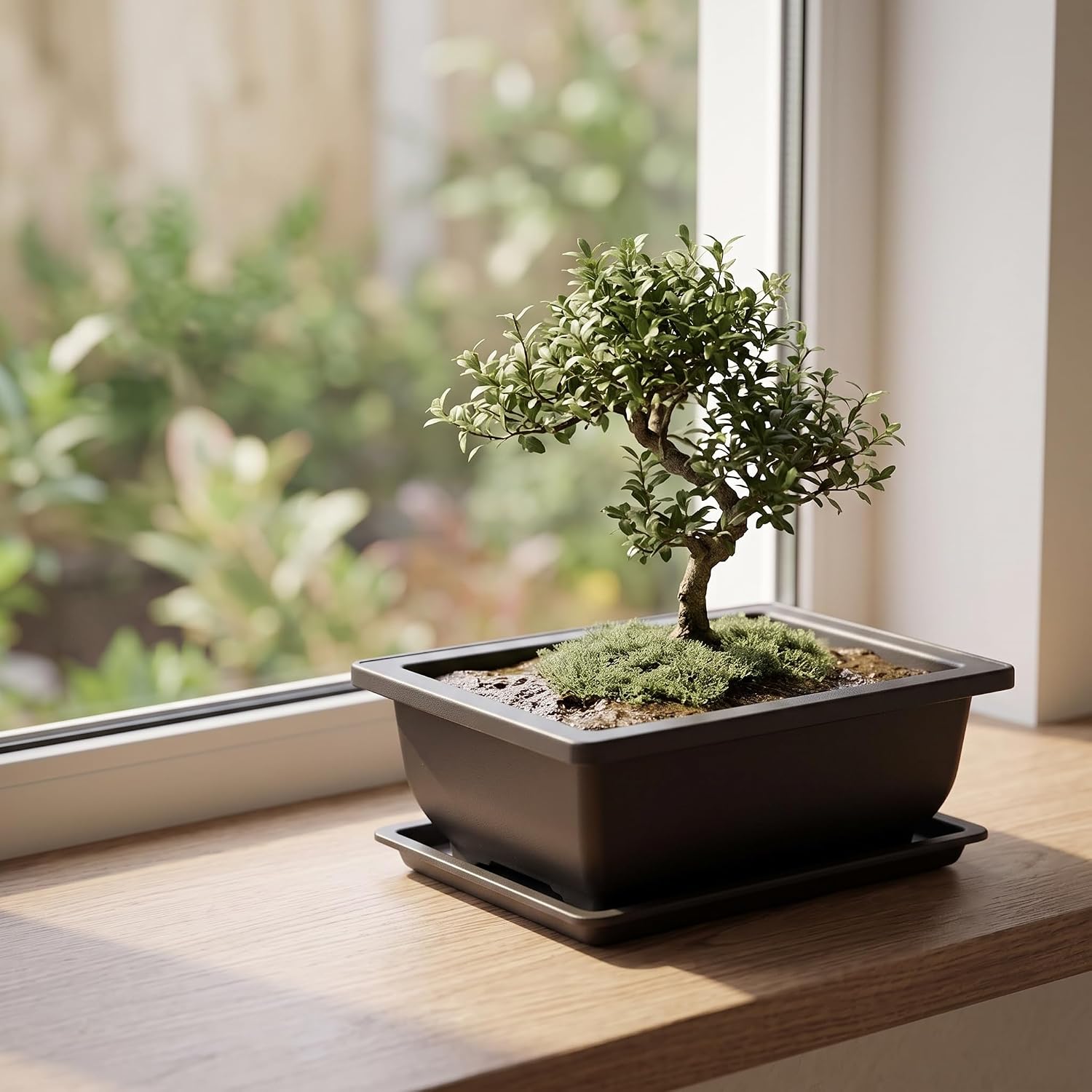 KINJOEK 25 PCS 6.5 Inch Plastic Bonsai Training Pots, Rectangular Plant Bonsai Tree Pot