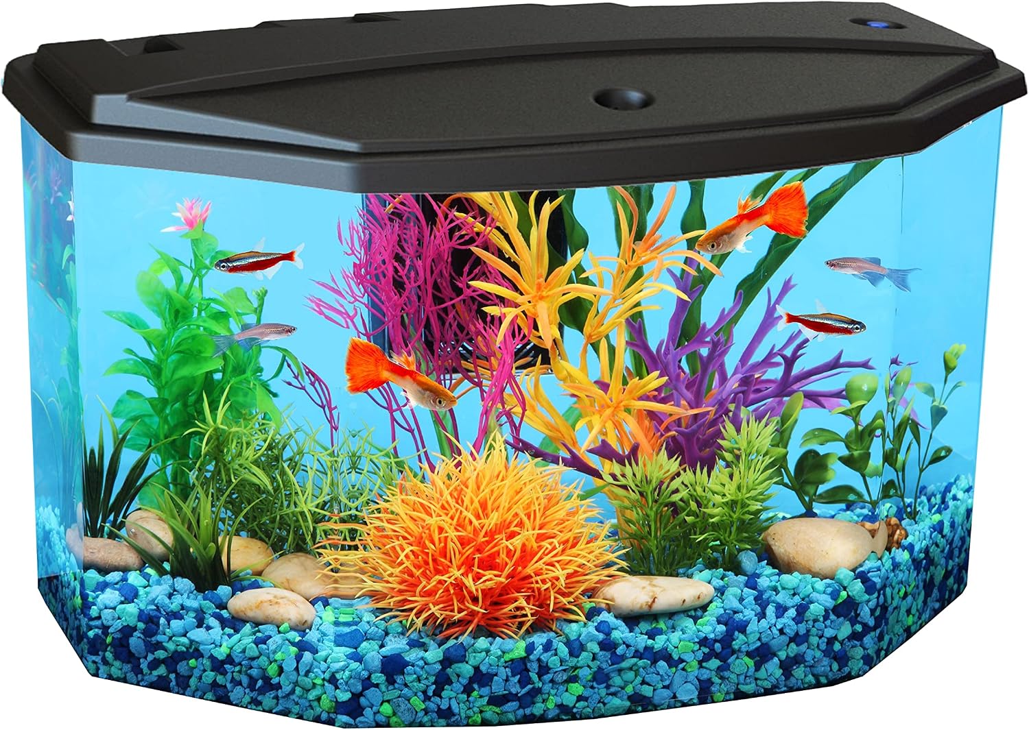 Koller Products Plastic 3-Gallon Aquarium Starter Kit with 4 Colors LED Lighting and Complete Filtration, Ideal for a Variety of Tropical Fish