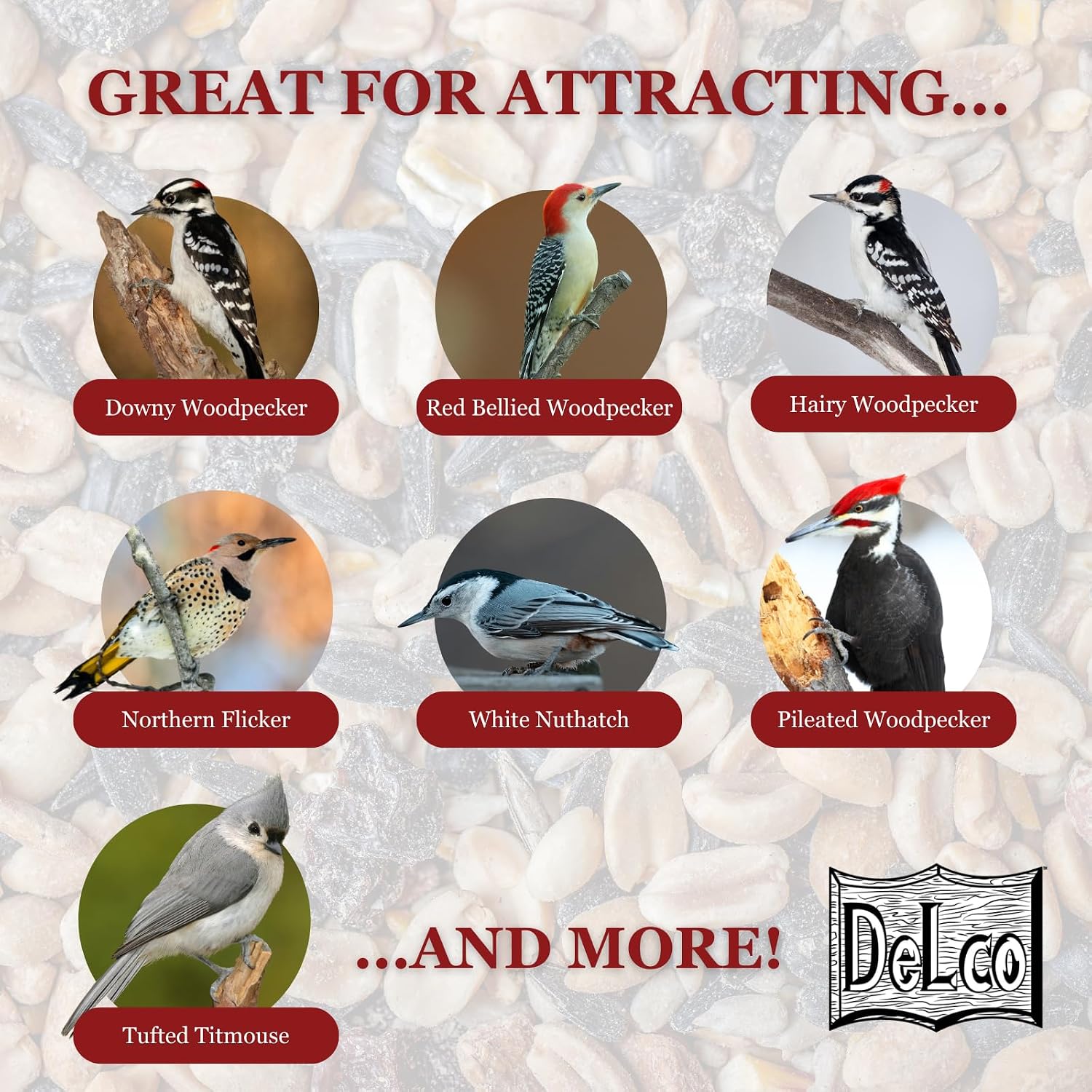 DeLco Woodpecker Wild Bird Seed, 20 lb Bag, High Energy Fruit & Nut with Sunflowers, Attracts Woodpeckers, Cardinals, Jays & Chickadees