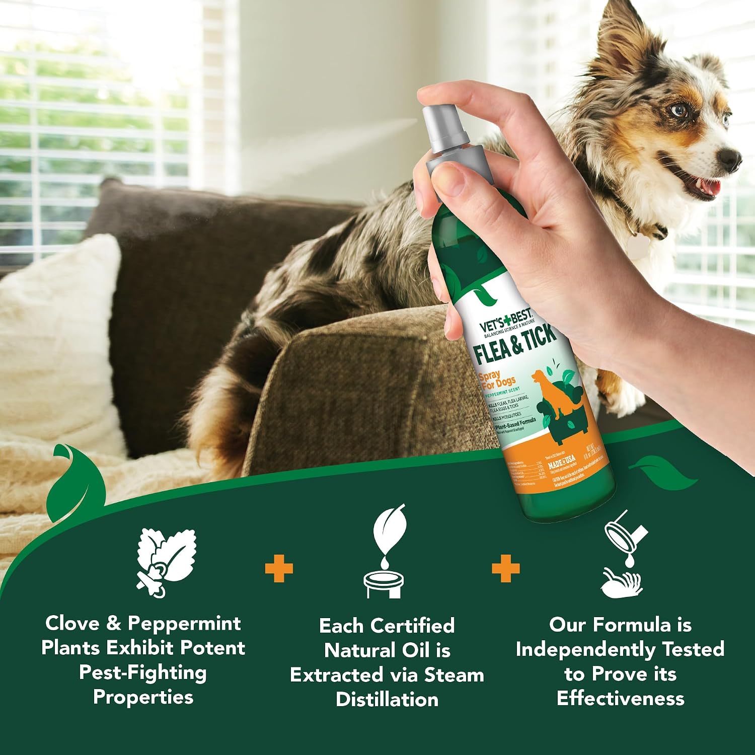 Vet's Best Flea & Tick, Mosquito, Yard & Kennel Spray for Dogs, 32 oz | Plant-Based Yard Treatment, Kills Fleas, Ticks & Mosquitoes, Ready-to-Use Hose Attachment, Safe for Plants, Made in USA