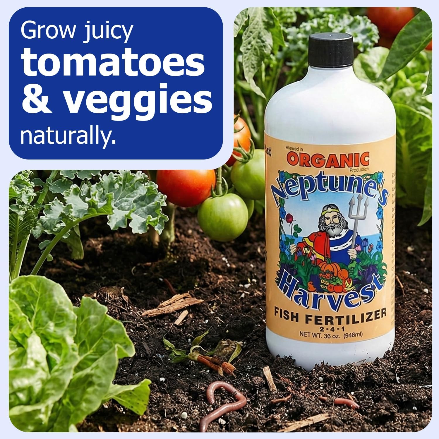 Neptune's Harvest Fish Fertilizer (2-4-1) - Organic Liquid Plant Fertilizer - Fish Hydrolysate for Vegetables, Flowers, Fruit, Trees, Grass - Indoor and Outdoor Plant Food (Gallon)