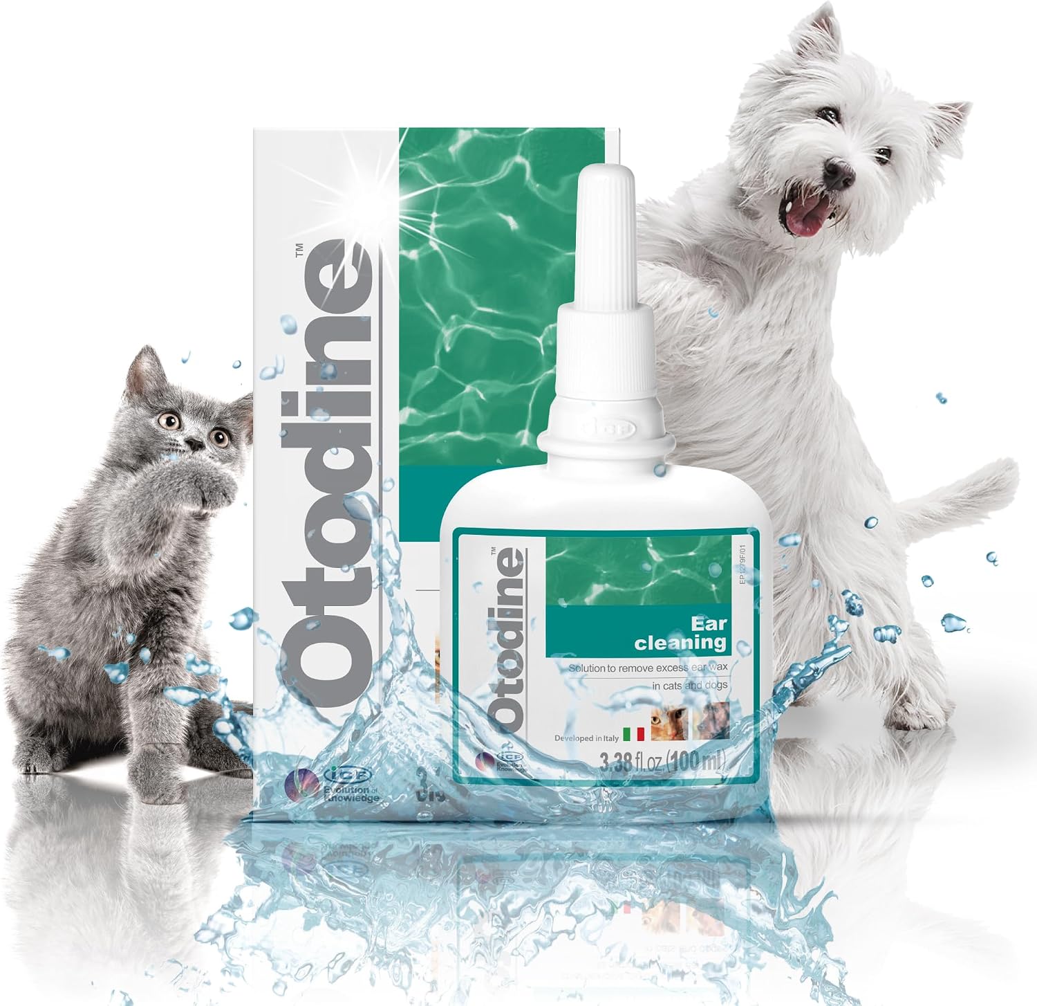 ICF Otodine Dog Ear Cleaner Solution Drops for Itchy Ears, Infections, Head Shaking, Scratching, Wax