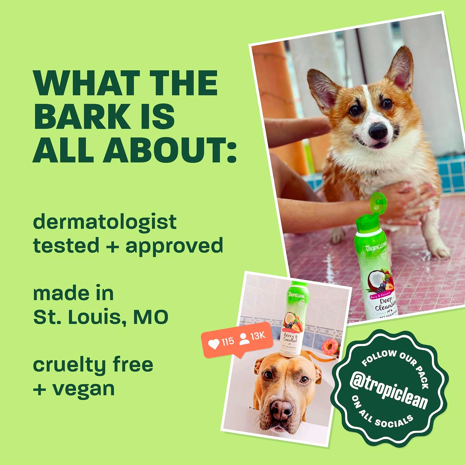 TropiClean Deodorizing Dog Shampoo for Smelly Pets, Long Lasting Odor Control, Puppy Safe, Made in the USA, Berry Scent, Cat Friendly, 20oz.