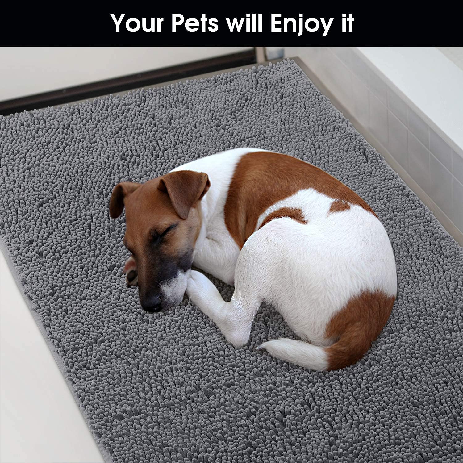 HOMEIDEAS Dog Door Mat for Muddy Paws 30x20, Absorbs Moisture and Dirt, Non-Slip Washable Doormat, Soft Chenille Mud Mat for Dogs