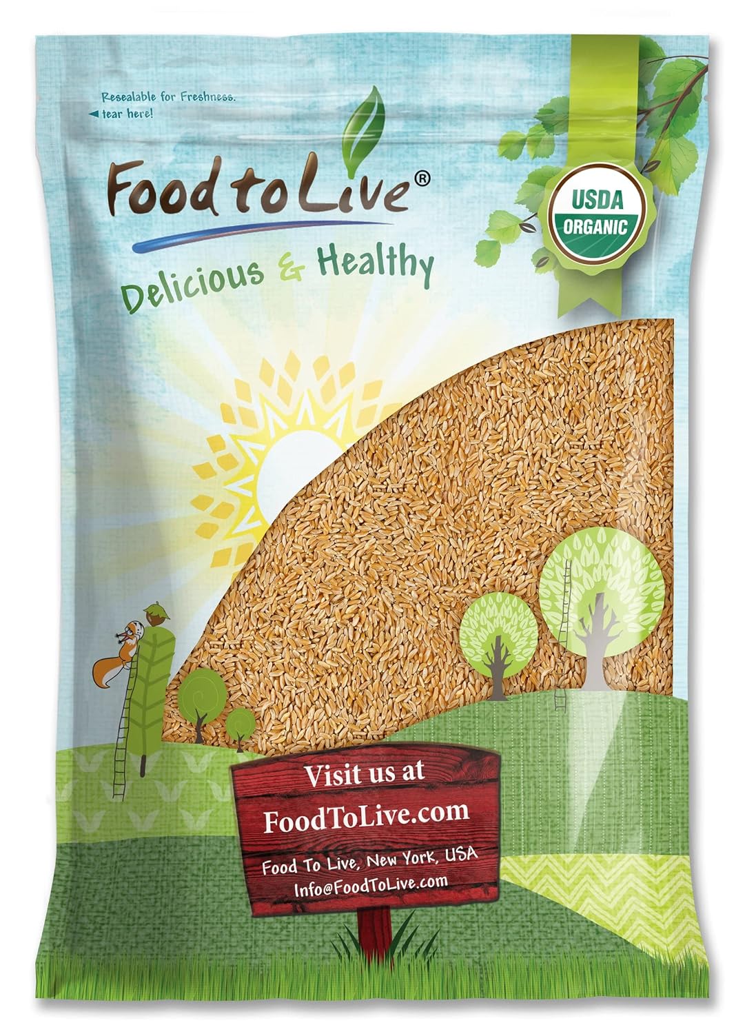 Food to Live Organic KAMUT Khorasan Wheat Berries, 5 Pounds – 100% Whole Grain, Sproutable for Wheatgrass, Non-GMO, Kosher, Bulk