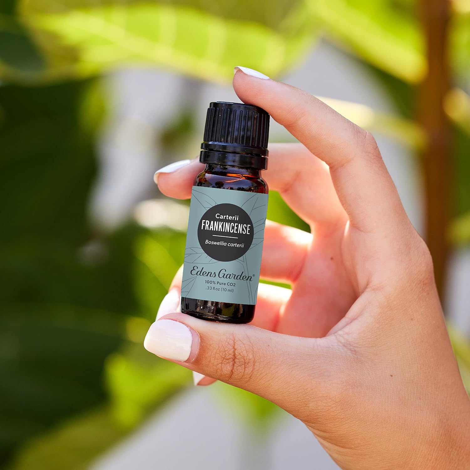 Edens Garden Cedarwood-Texas Essential Oil- 100% Pure 10 ml (.33 fl oz)