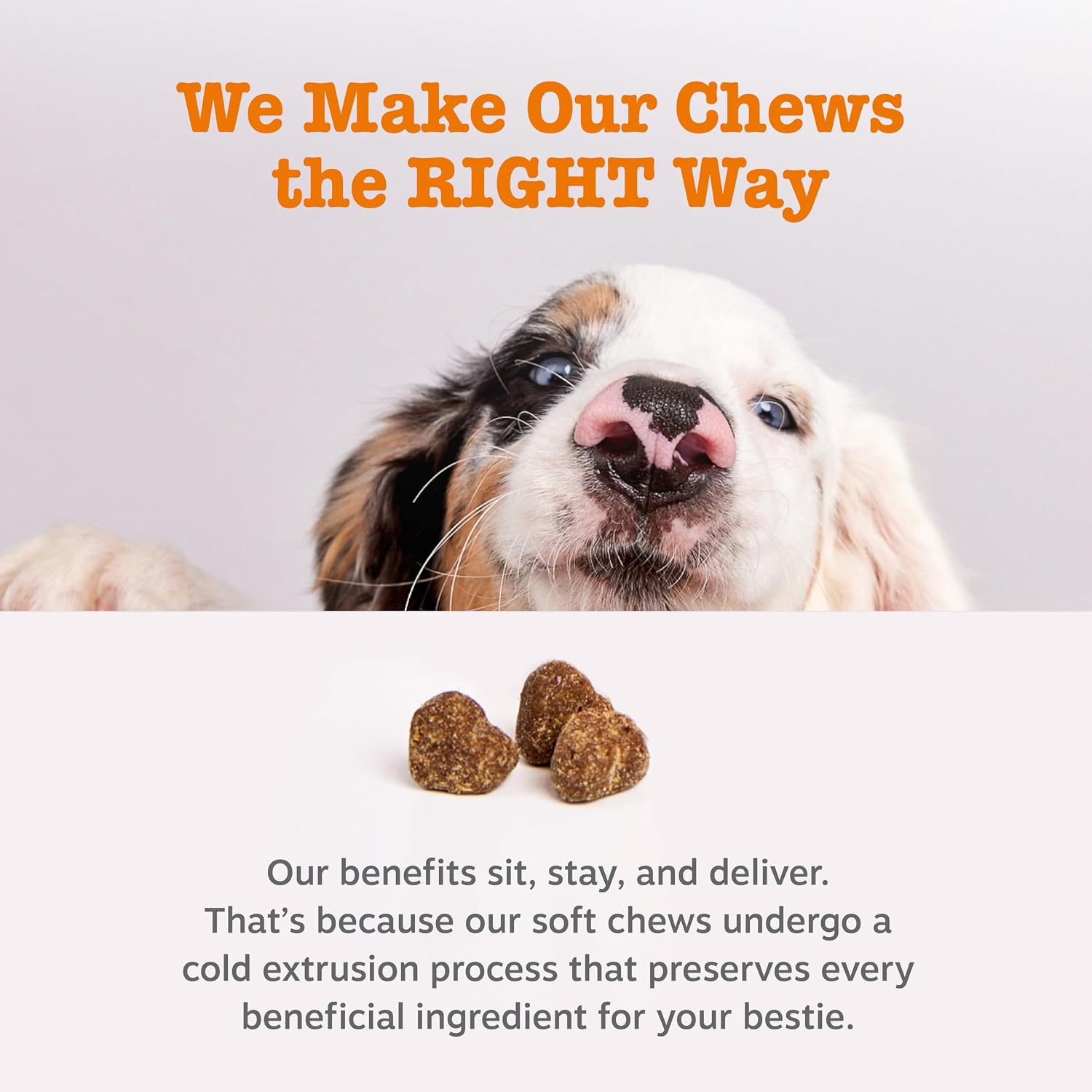 Zesty Paws Probiotics for Dogs - Digestive Enzymes for Gut Flora, Digestive Health, Diarrhea & Bowel Support - Clinically Studied DE111 - Dog Supplement Soft Chew for Pet Immune System - Pumpkin, 90ct