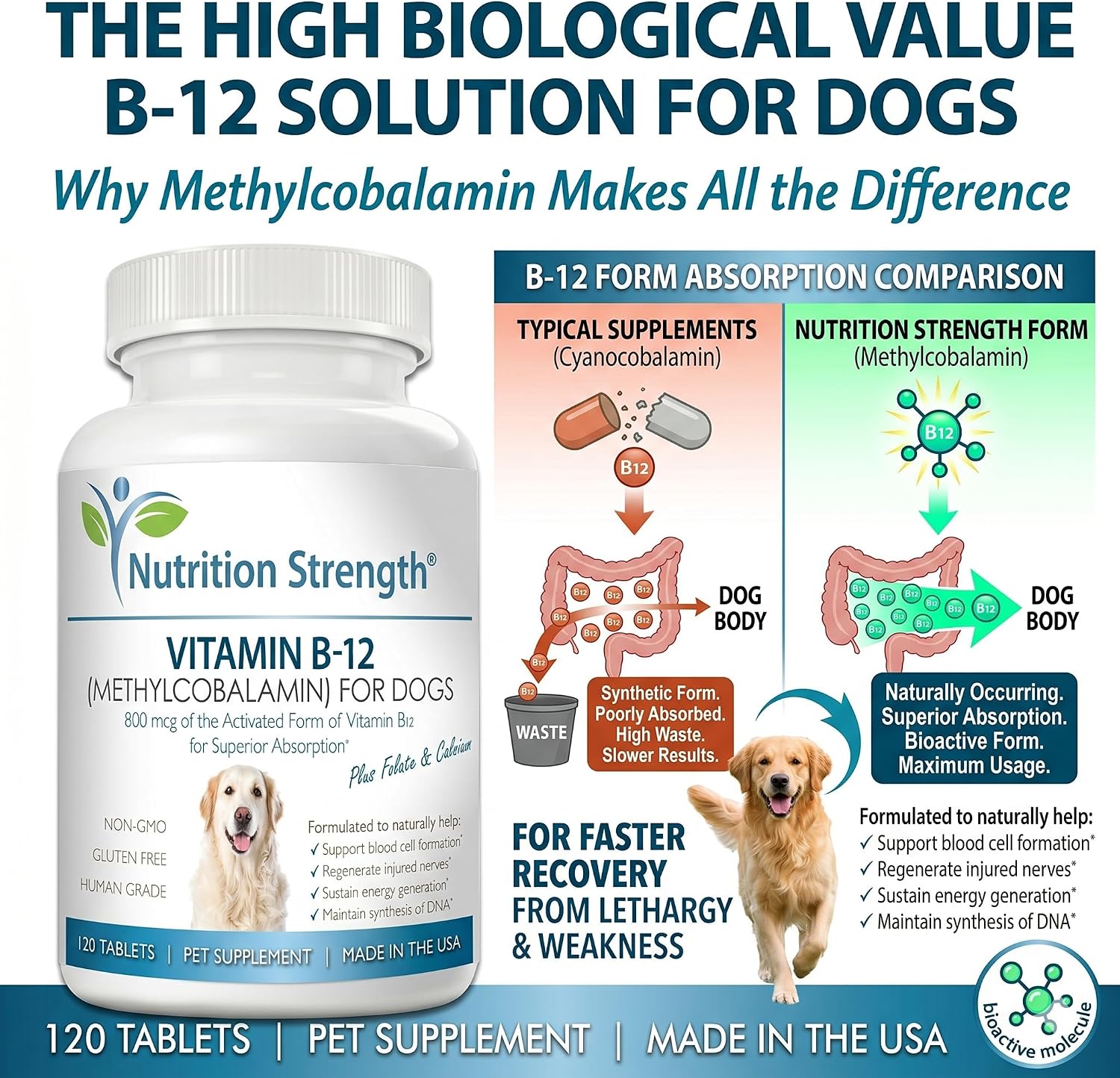 Vitamin B12 for Dogs Plus Folate & Calcium, Support the Nervous System & Blood Cell Formation