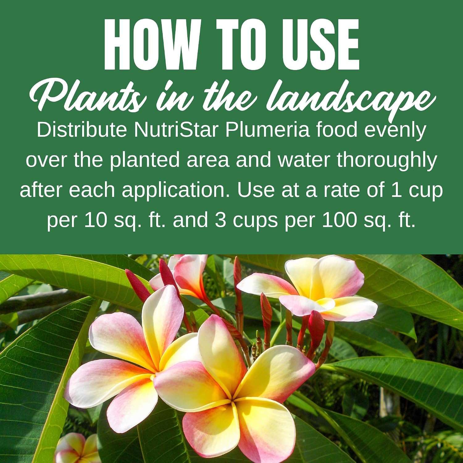 Nelson Plumeria Plant and All Flowering Tropicals Food Ferns Orchids Lilys In Ground Container Patio Grown Granular Fertilizer NutriStar 5-30-5 (4 lb)