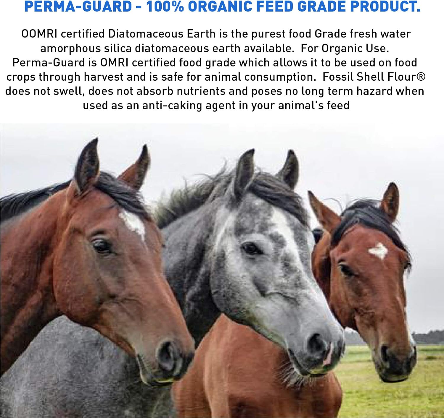 EasyGoProducts EGP-DE-50A Perma-Guard Diatomaceous Earth-DE Food Grade – 100% Organic – OMRI Or, 50 lb, Clear