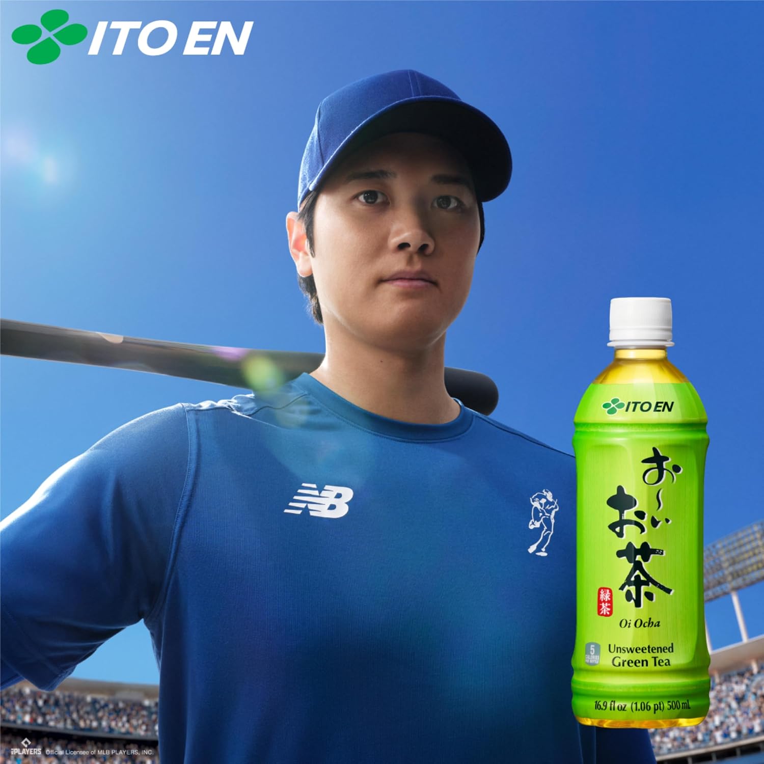 Ito En Tea Oi Ocha Green Tea, Unsweetened, 16.9 Ounce (Pack of 12)