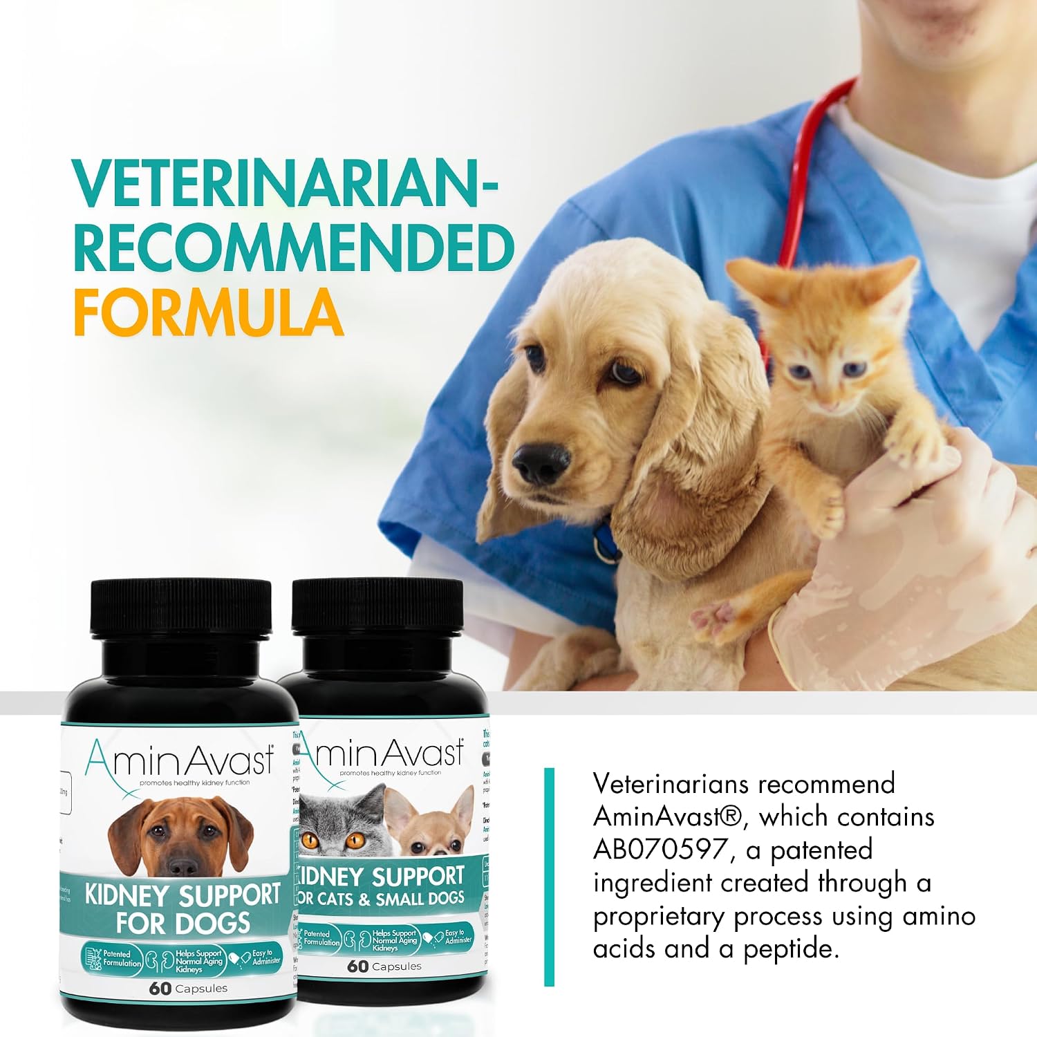 AminAvast Kidney Support for Dogs Over 20lb, 1000mg, 60 Sprinkle Capsules | Feed Directly or Open Capsules & Mix With Food, Flavorless, Easy Daily Use
