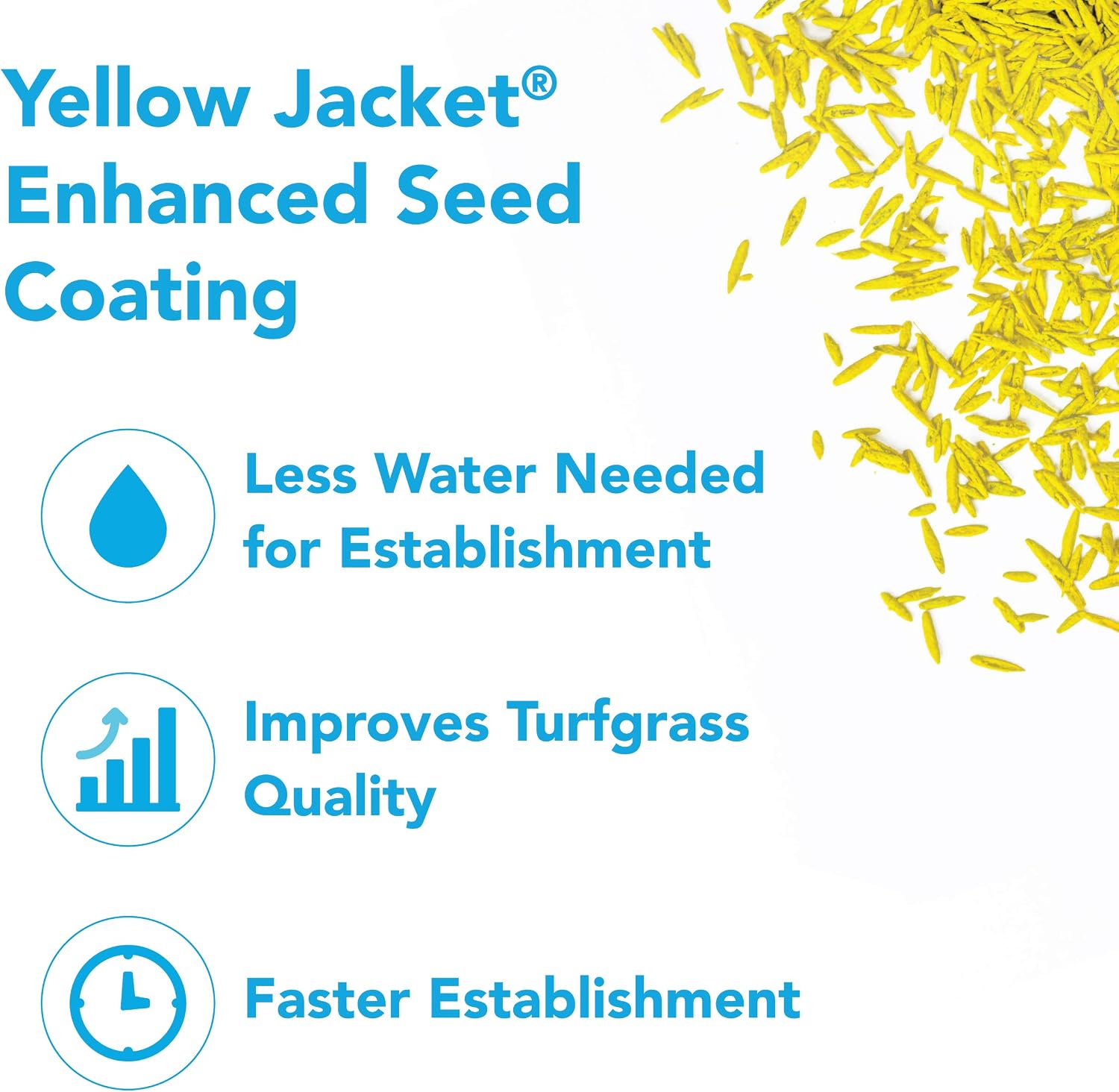 Barenbrug Turf Blue Healthy Grass Technology Grass Seed with Yellow Jacket Coating - Heavy Traffic Seed for Use on Sports Fields, Golf Courses, Parks