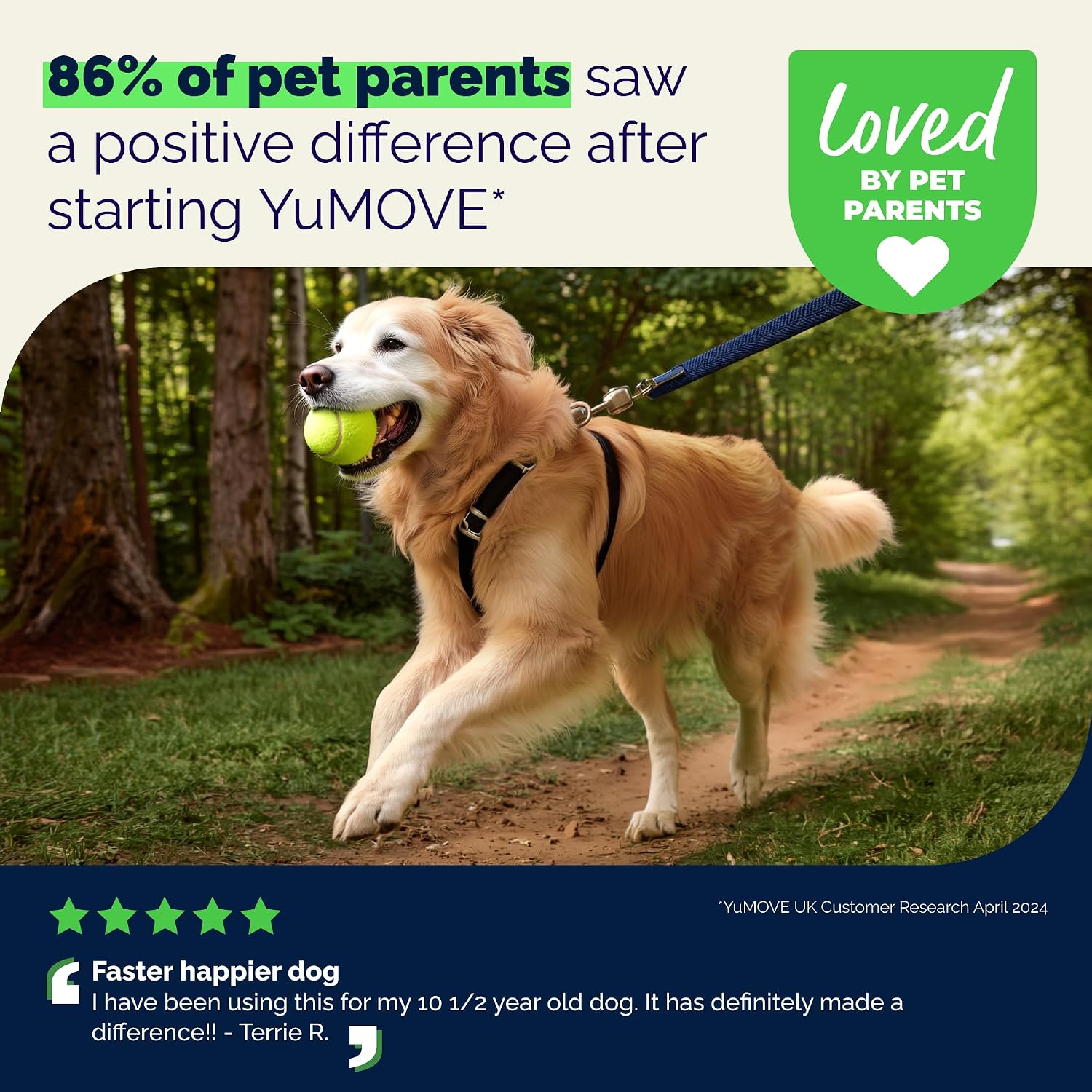 YuMOVE Dog Hip & Joint Supplement, Regular Strength 60 Chewable Tablets | ActivEase Green Lipped Mussel, Glucosamine for Dogs, Hyaluronic Acid & Omega 3 Joint Supplement, NASC Certified