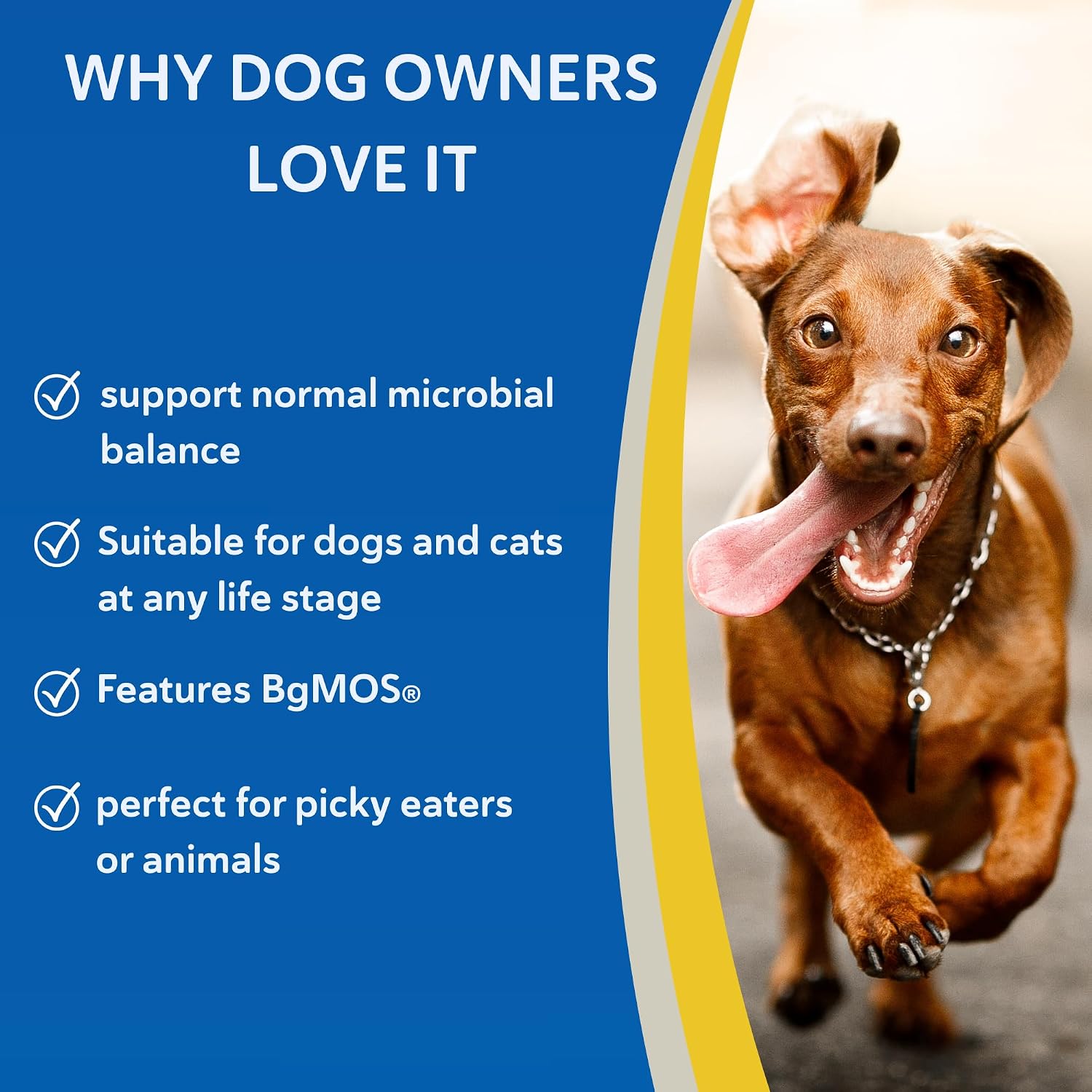 Doc Roys GI Synbiotics for Dogs and Cats, Prebiotic and Probiotic Granules, Digestive and Immune Support, Chicken Flavored, Made in USA, 454 gm