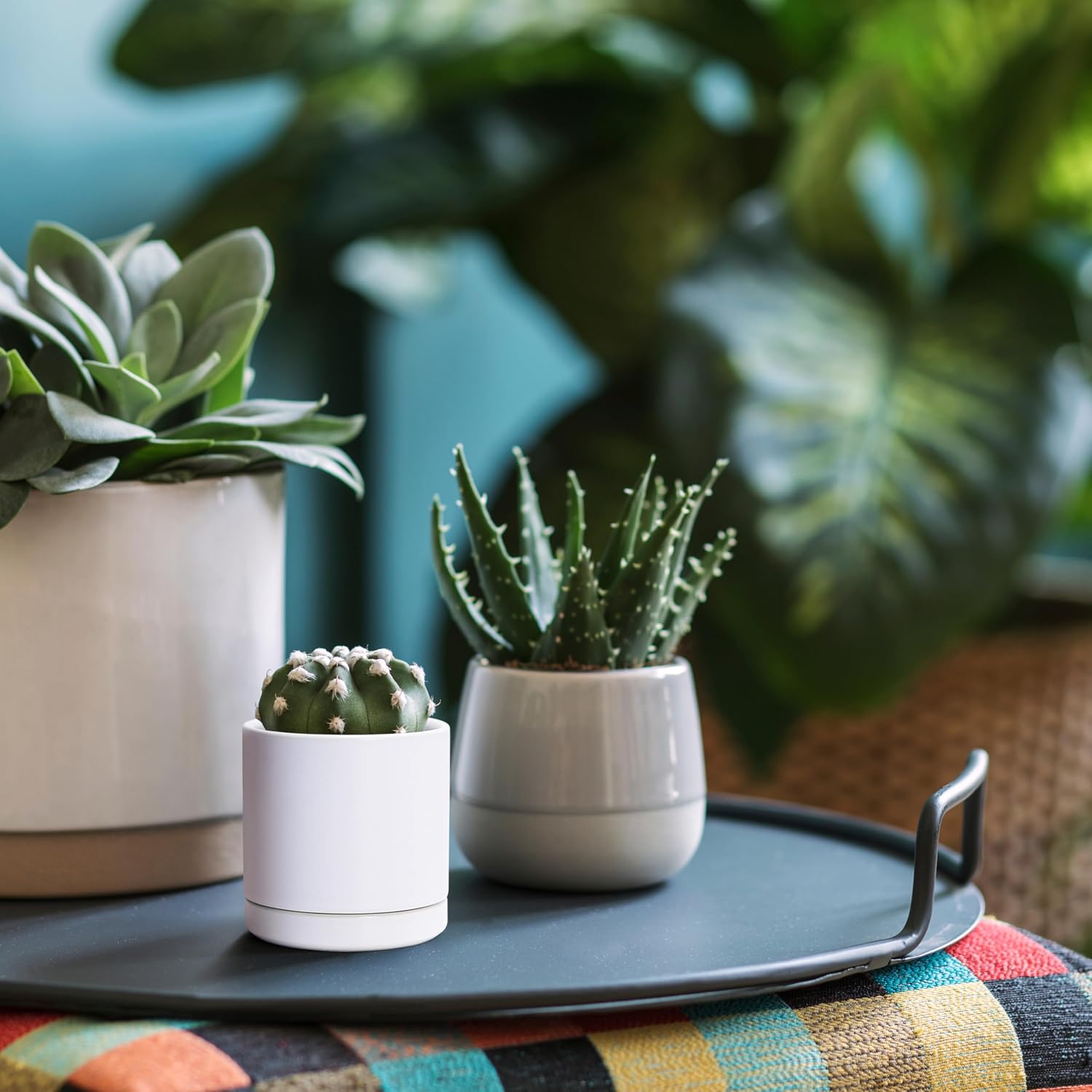 D'vine Dev 2-Pack Ceramic Pots with Saucers, White/Grey, 4.7 in, 94-V-B-6