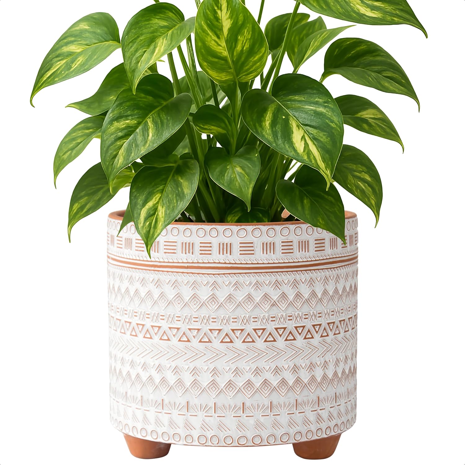 D'vine Dev 8 Inch Terracotta Planter with Drainage, Saharan Script, 33-953-D-1