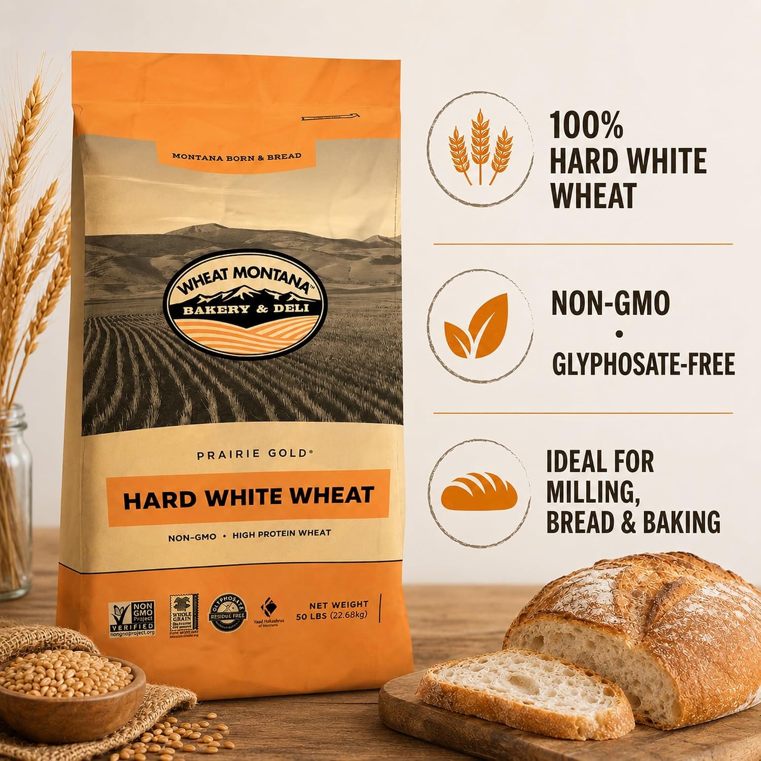 Wheat Montana: Prairie Gold: Wheat Berries - 50 lb Bulk Bag - 100% Whole Hard White Spring Wheat, Non-GMO, No Glyphosate, Milling, Bread & Baking