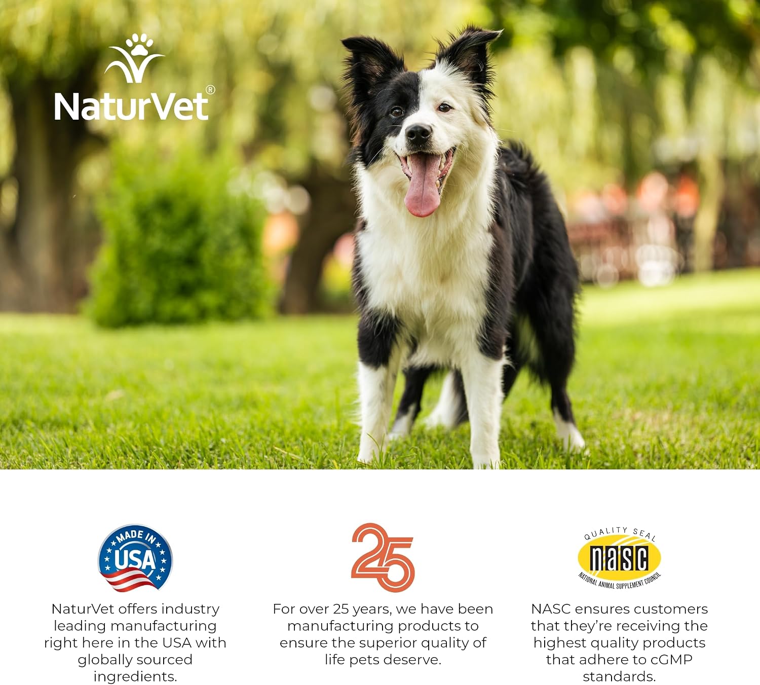 NaturVet Digestive Enzymes with Pre & Probiotic for Dogs & Cats - 8 oz | Supports Diet Changes & a Healthy Digestive Tract with Prebiotics, Powder