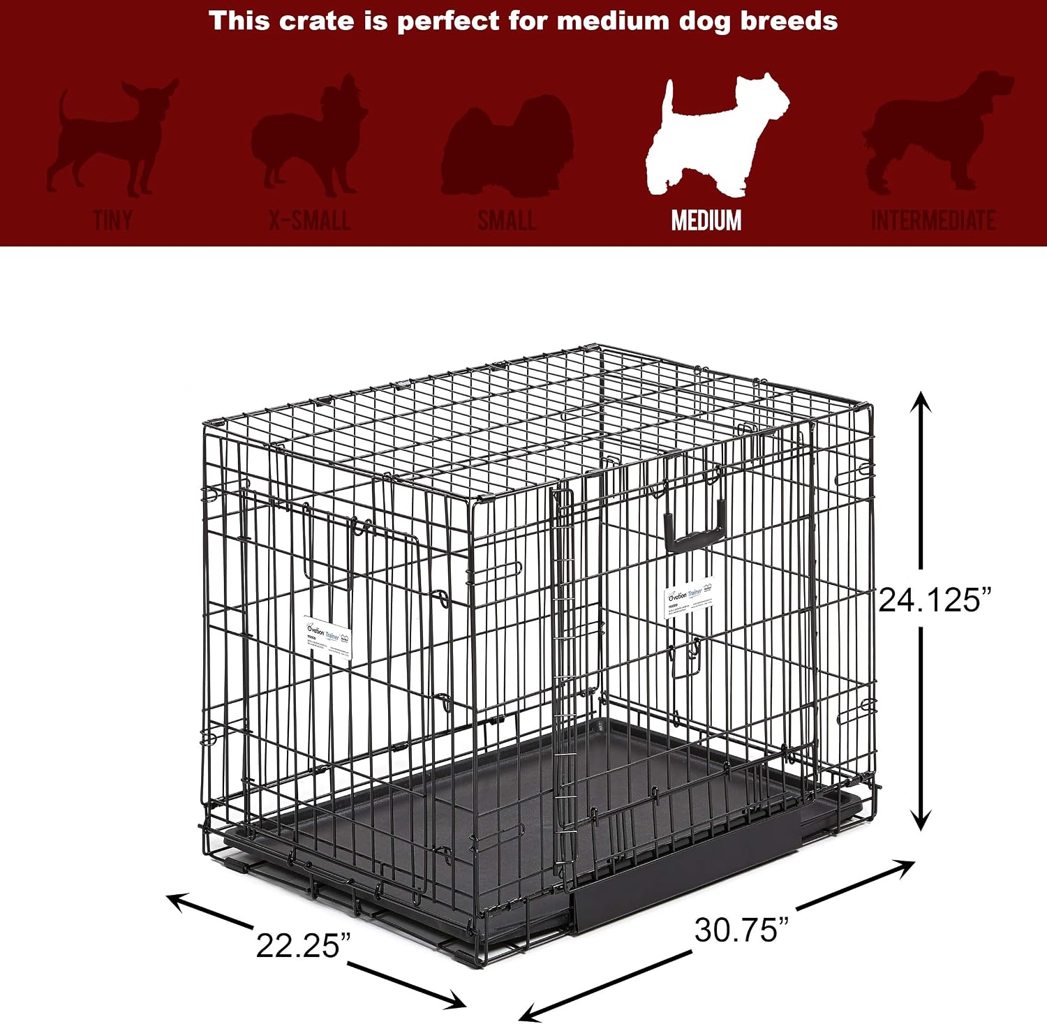 MidWest Homes for Pets Medium Ovation Double Door 30-inch Folding Metal Dog Crate, Front and Up & Away Side Doors, Space-Saving Design