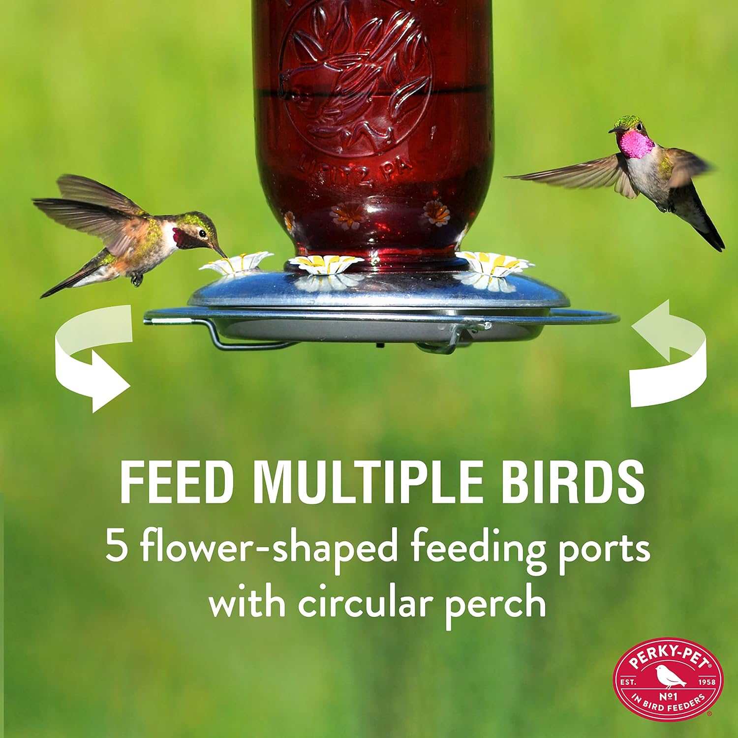 Perky-Pet Mason Jar Hummingbird Feeder, 32 oz Nectar Capacity | Vintage Style Glass Bird Feeder, 5 Flower Feeding Ports, Outdoor Garden Backyard Wildlife