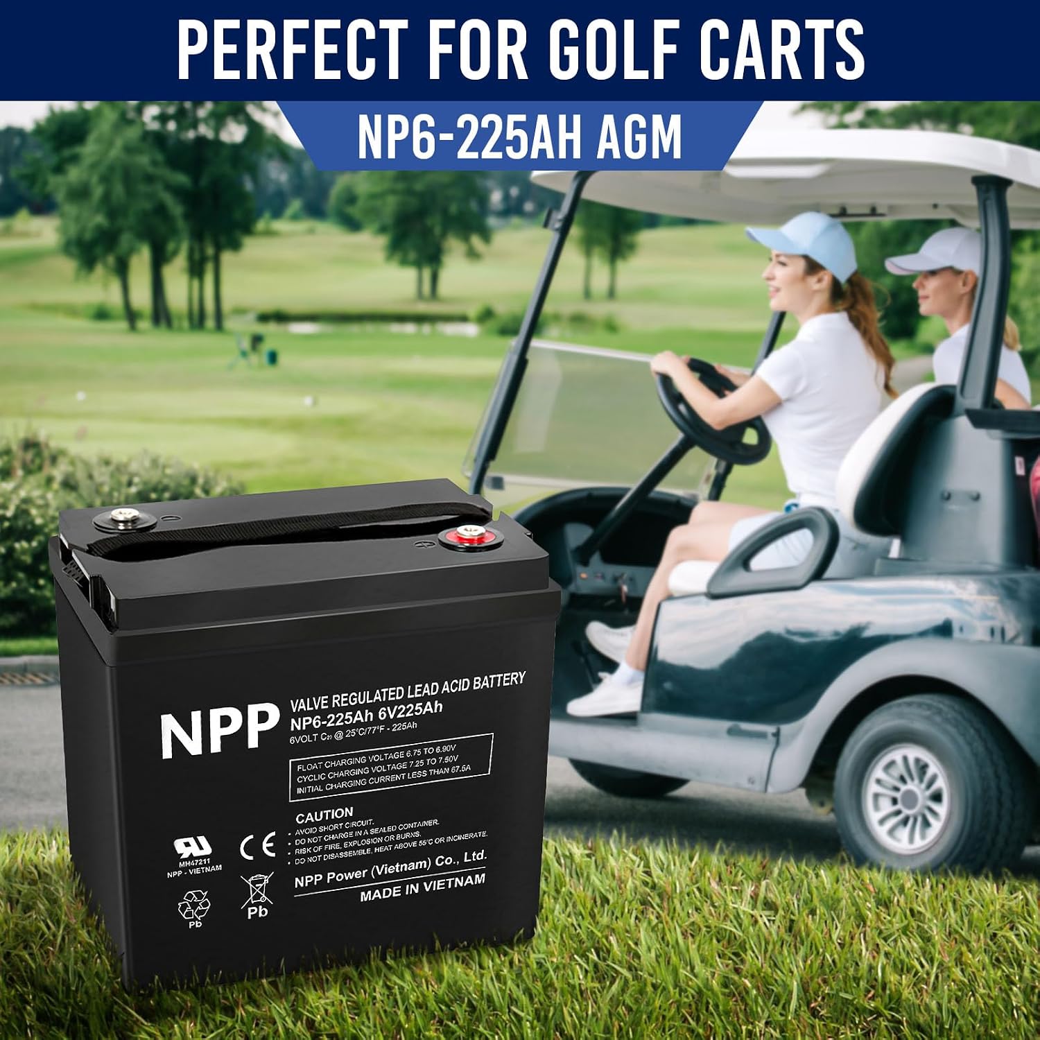 NPP 6V 225Ah AGM SLA Battery with T16 (M8) Terminal for Golf Cart (2 Pcs)