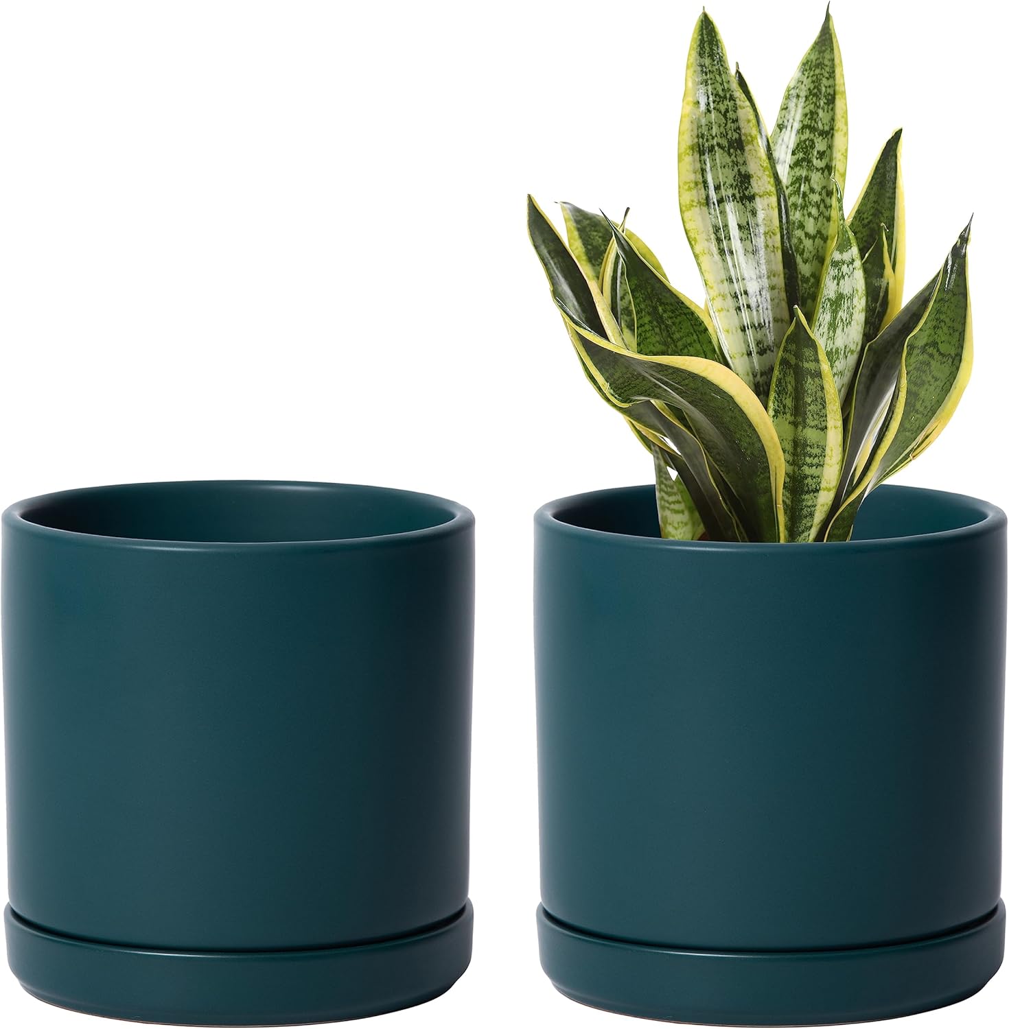 D'vine Dev 2-Pack Ceramic Pots with Saucers, White/Grey, 4.7 in, 94-V-B-6