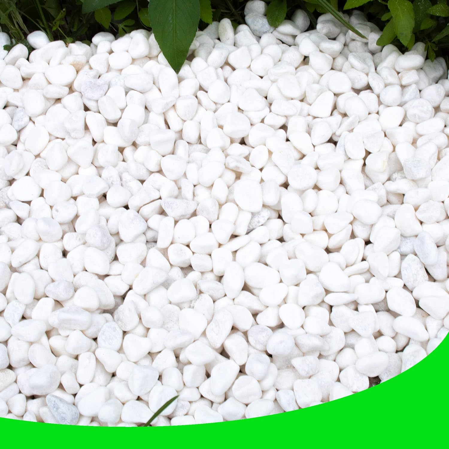 Pebbles for Plants 3 lb Natural Garden Decorative Stone Outdoor Aquariums Gravel 1-1.5 Inches