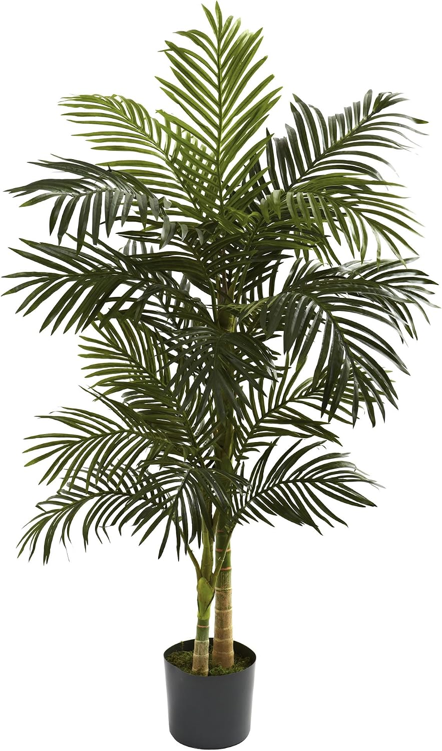 Nearly Natural 4 ft Artificial Golden Cane Palm Tree with Nursery Pot | Double-Stalk, Lush Realistic Foliage, Indoor Faux Palm Plant, Living Room Decor, Perfect Tropical Decoration