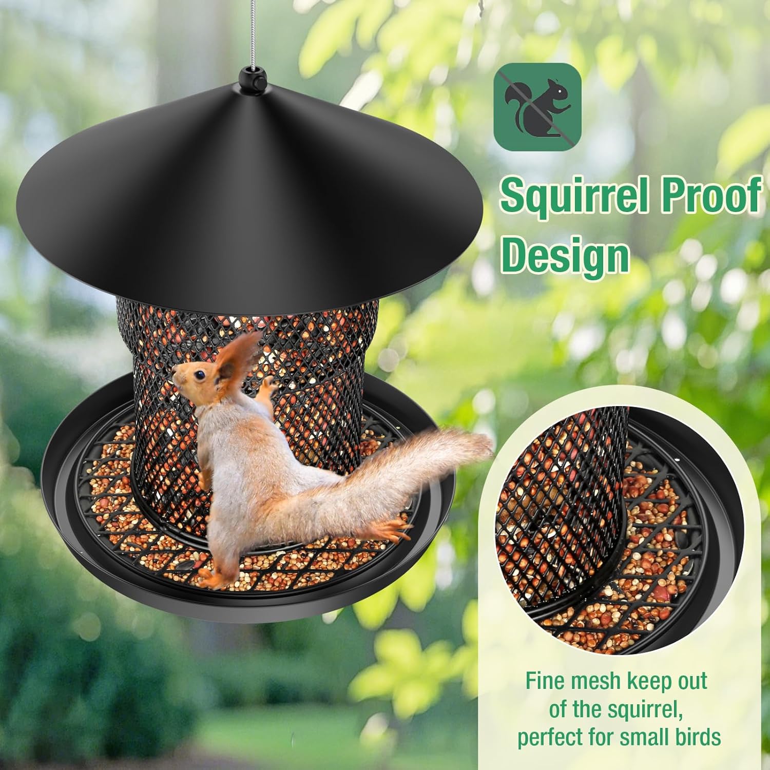 Bird Feeder for Outdoor Hanging