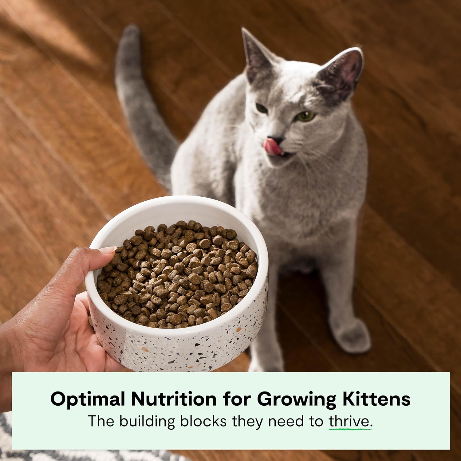 Open Farm, Grain Free Dry Cat Food, High-Protein Kibble for a Complete & Balanced Diet, Non-GMO Fruits & Vegetables, Prebiotic Fibers to Support Digestion, Catch-of-The Season Whitefish, 4lb Bag | All Life Stages, High Protein, Prebiotic Fibers, 100% Tra…