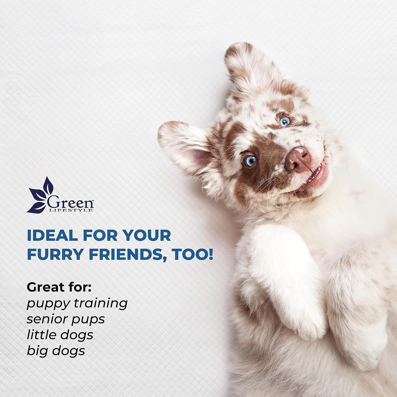 GREEN LIFESTYLE Washable Underpads - Large Pads for use as Incontinence Bed Pads, Reusable Pet Pads, Great for Dogs, Cats, Bunny