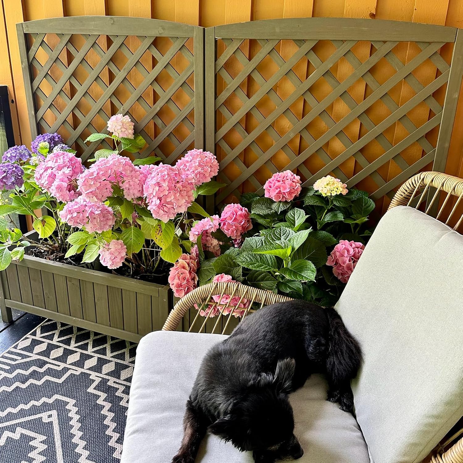 Aivituvin Planter with Trellis Raised Garden Bed Large Garden Box Outdoor for Flower Standing Vertical Lattice Panels for Vine