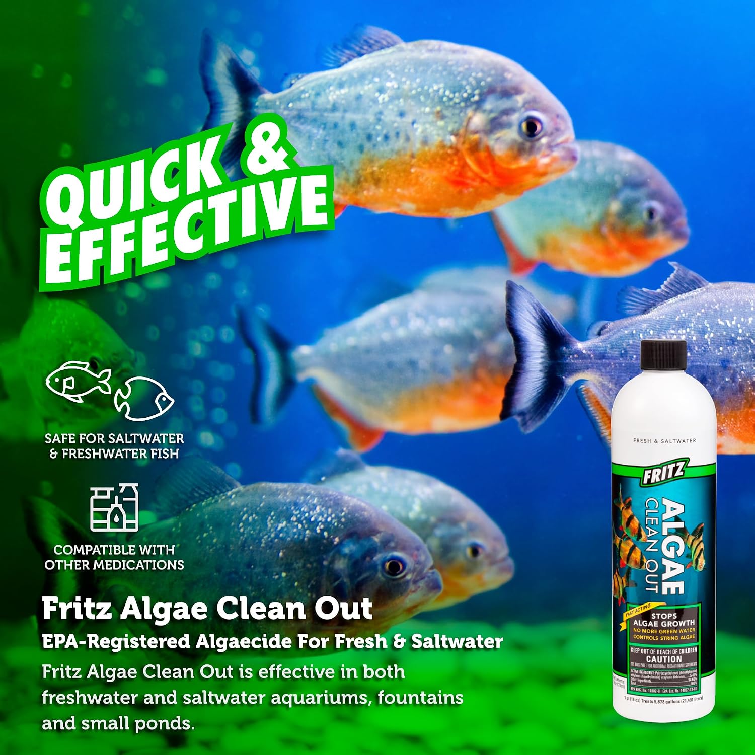 Fritz Aquatics Algae Clean Out - Algaecide for Fresh and Salt Water Aquariums, 16 oz