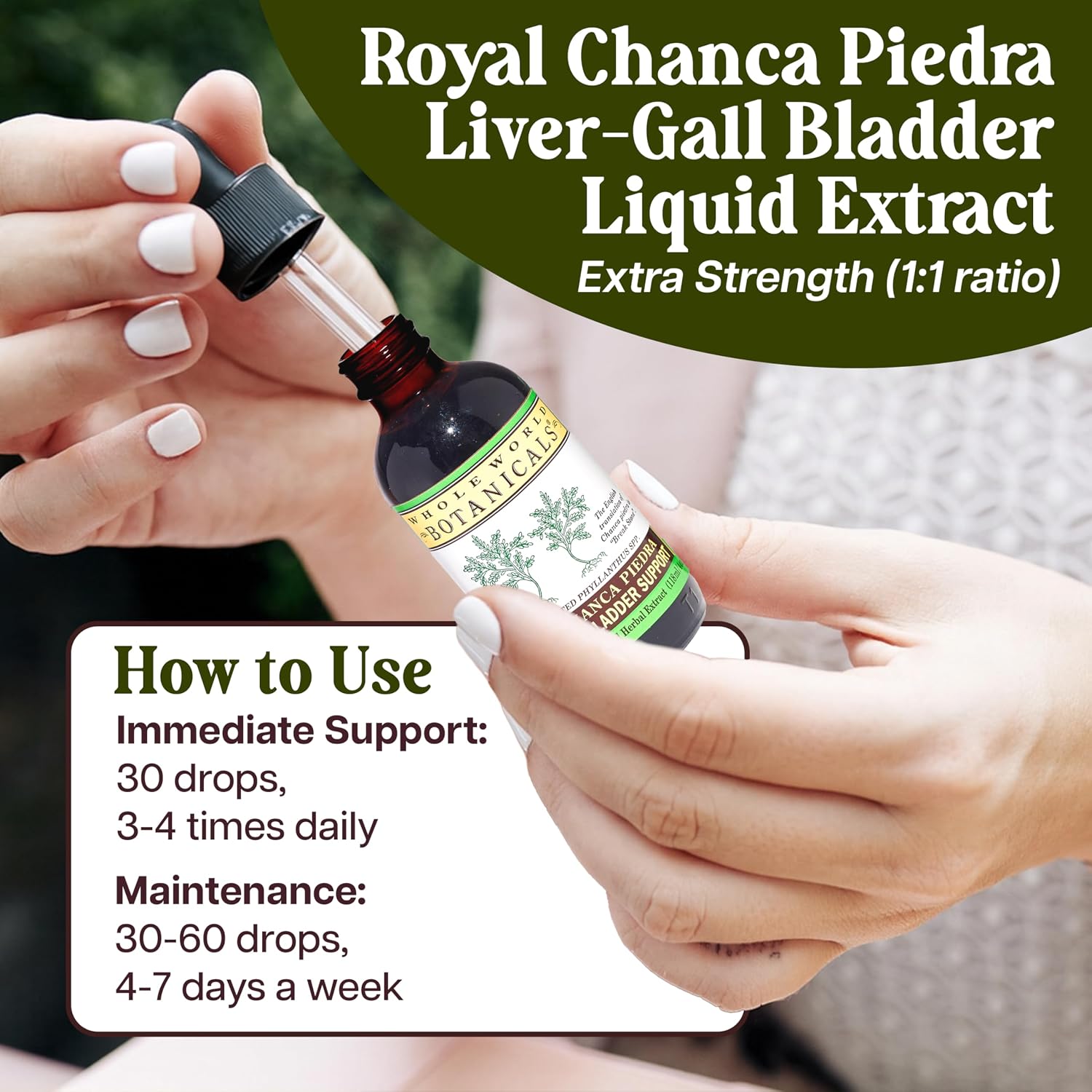 Whole World Botanicals Royal Chanca Piedra – Liver & Gallbladder Support – Herbal Supplement – Liquid Extract 4 oz – Traditional Amazon Herb