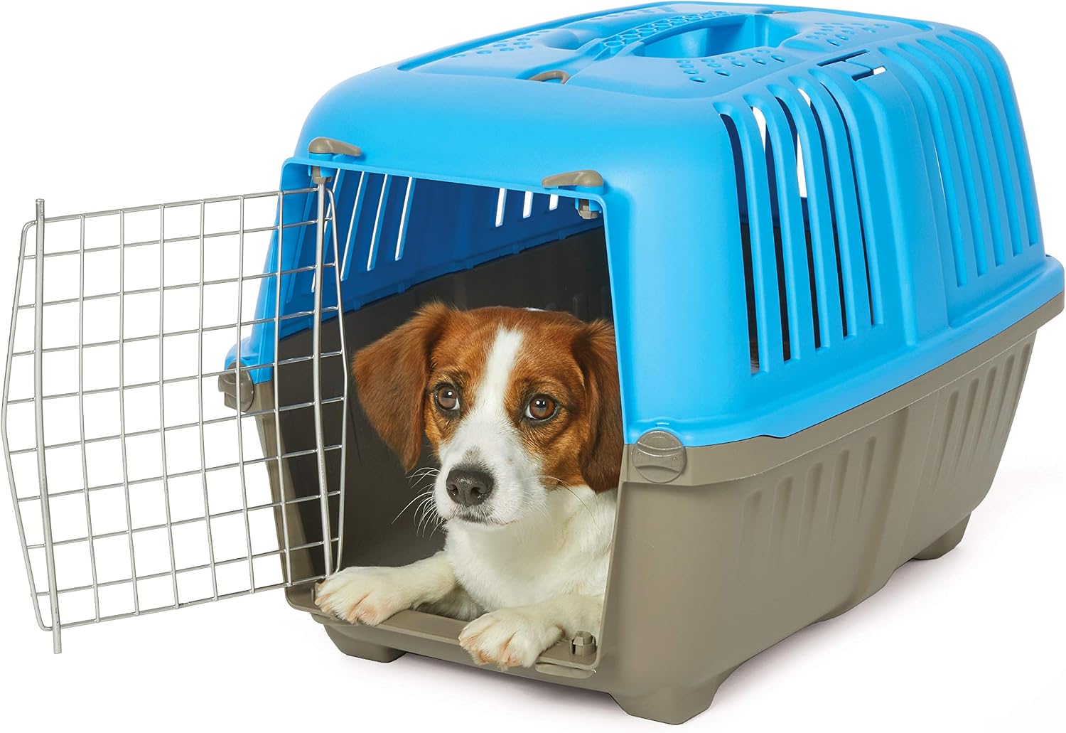 Spree by MidWest 19-Inch Travel Carrier, Blue, Fits Pets up to 10 lbs | Hard-Sided Pet Carrier, Steel Door, Ventilated Design, Locking Tabs, Easy Assembly