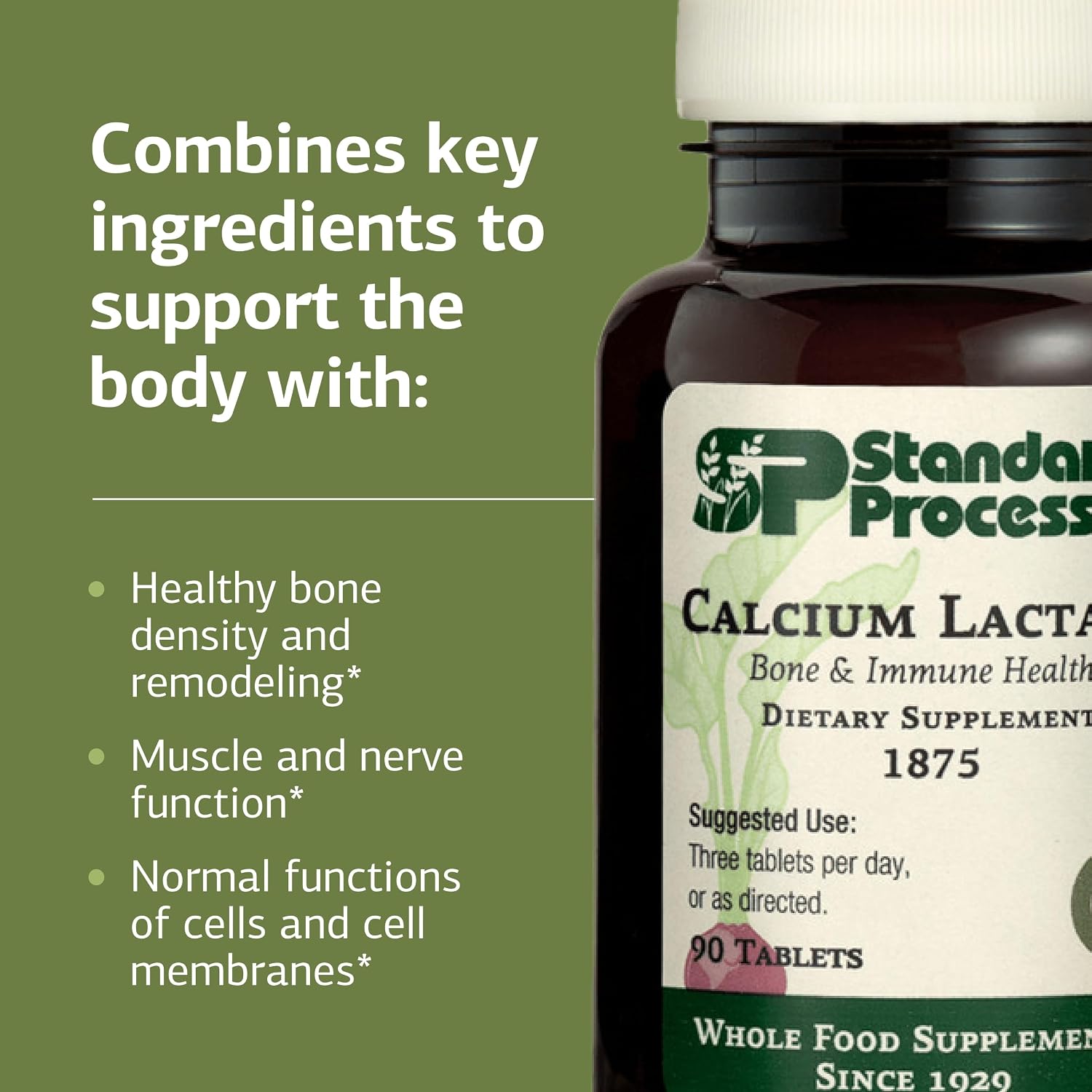 Standard Process - Calcium Lactate Powder - Bone Health & Immune Support - Calcium Magnesium Supplement for Bone Strength & Blood Health - Non-Dairy, Soy & Gluten-Free - 12 oz