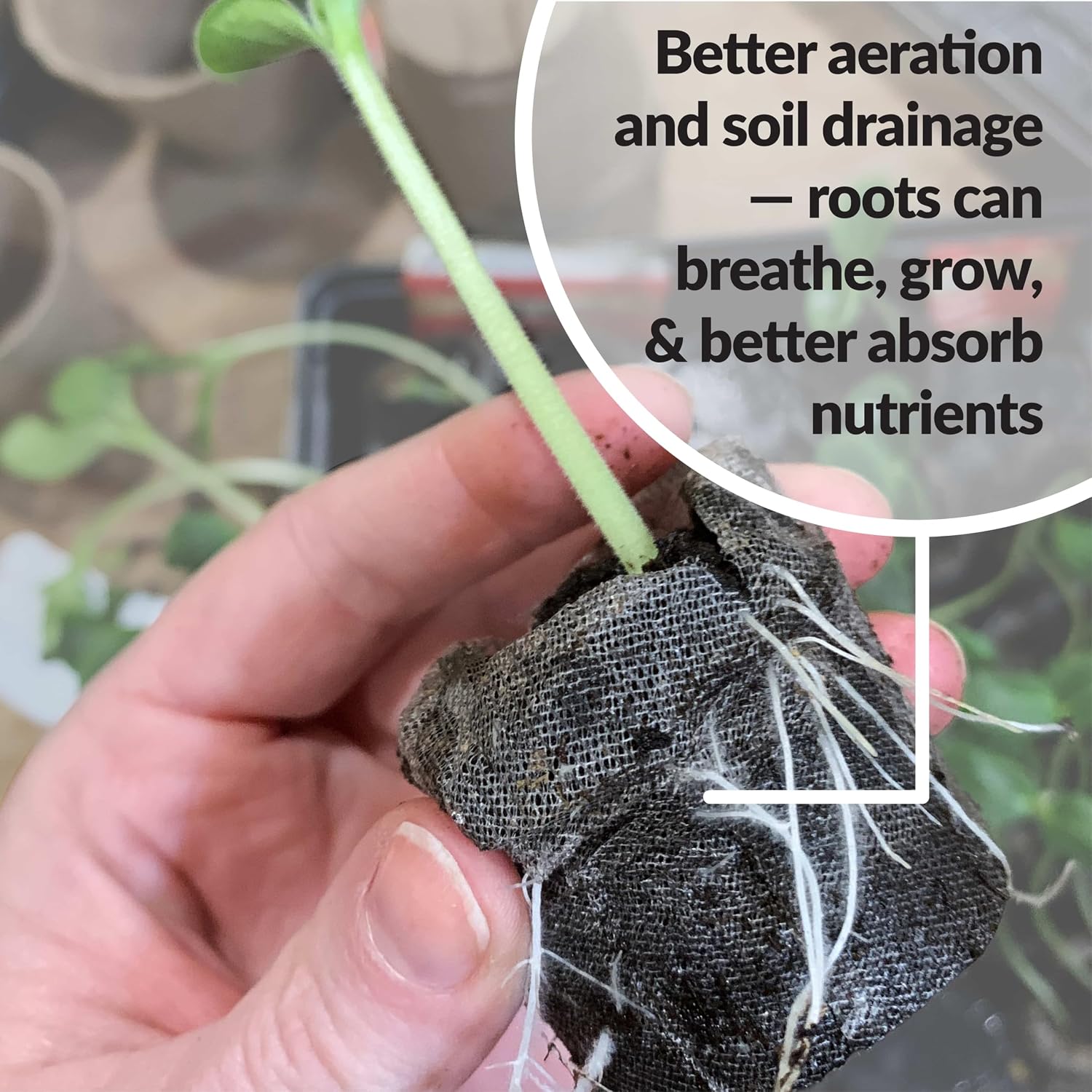 100 Count- Jiffy 36 MM Peat Soil Pellets Seeds Starting Plugs: Indoor Seed Starter- Start Planting Indoors for Transplanting to Garden or Planter Pot | Starter- Start Planting Indoors for Transplanting to Garden or Planter Pot