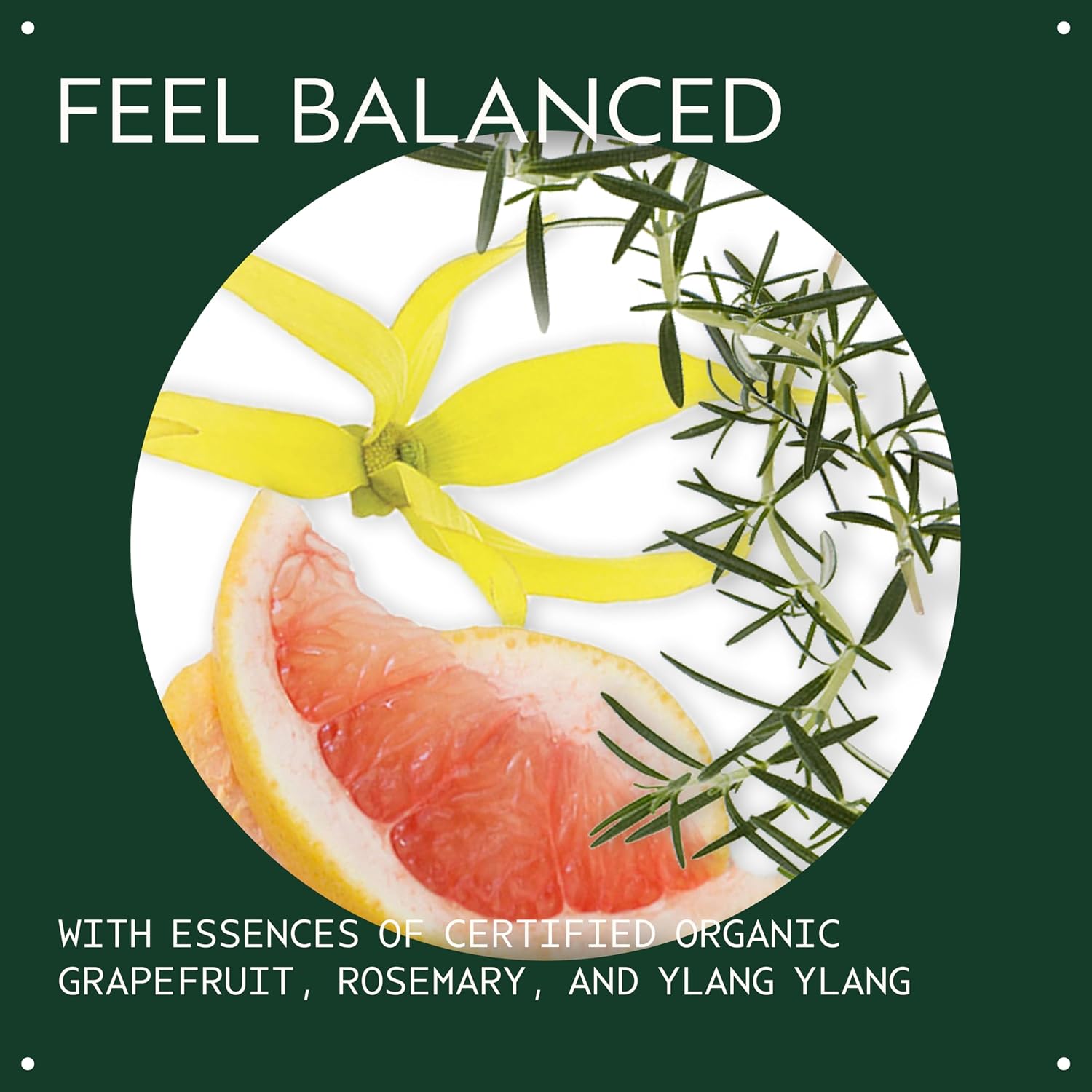 Aveda Chakra 5 Balancing Pure-Fume Mist: Throat | Body & Room Spray | Balances Throat Chakra | With Certified Organic Grapefruit, Rosemary