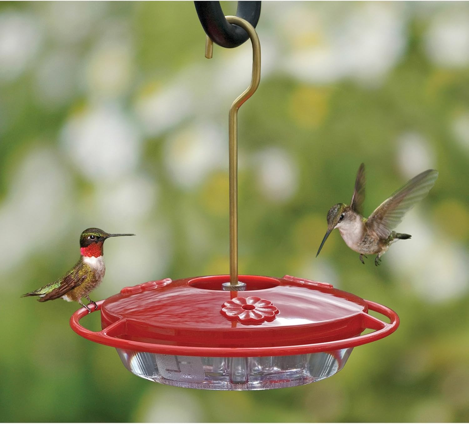 Aspects 153 Mini Hummzinger Hummingbird Feeder, 8-Ounce , Red