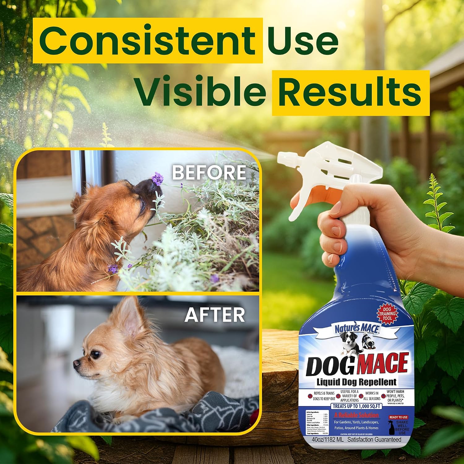 Nature's MACE Dog Mace Dog Repellent 1 Gallon Concentrate | Potty Training Tool Spray, Indoor & Outdoor, Pee Deterrent, Safe Around Kids, Pets, Garden & Plants, Treats 48,000 Sq. Ft.