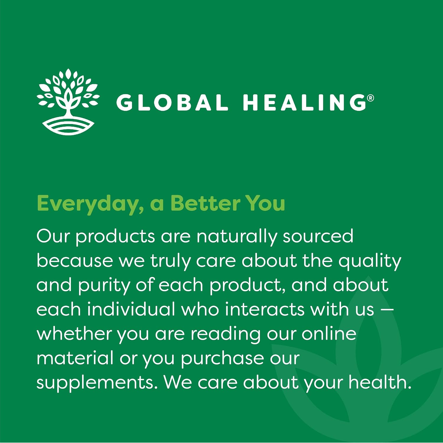 Global Healing Center - Vitamin B12 5000 mcg, Organic Sublingual Liquid Drops | 3-in-1 Methylcobalamin, Adenosylcobalamin, Hydroxo Blend