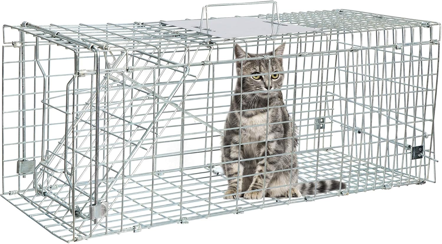 ANT MARCH 32'' Live Animal Cage Trap with Gloves Steel Humane Release