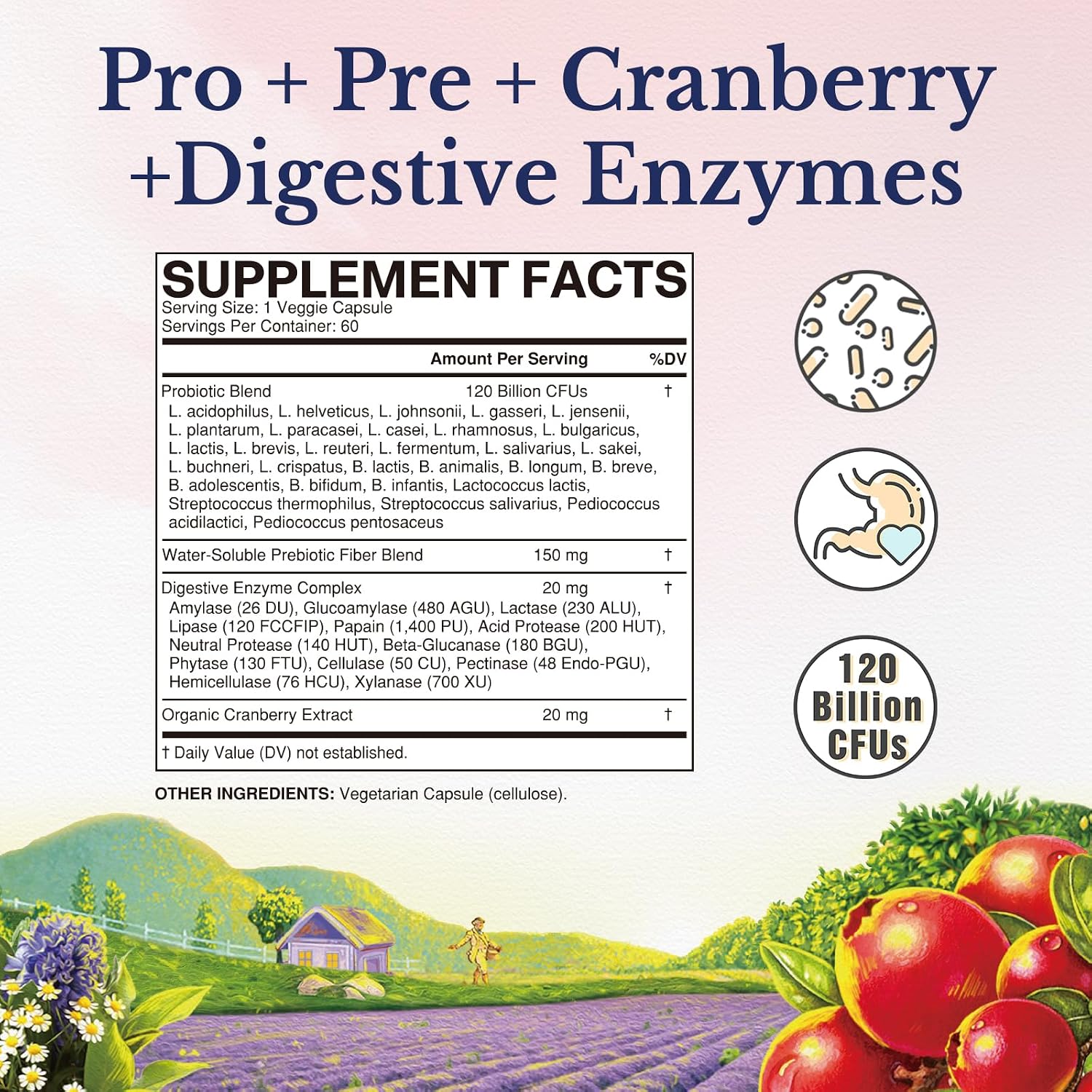 Vitalitown Probiotics for Women 120 Billion CFUs, 30 Strains, with Prebiotics & Digestive Enzymes & Cranberry, Gut & Vaginal Health